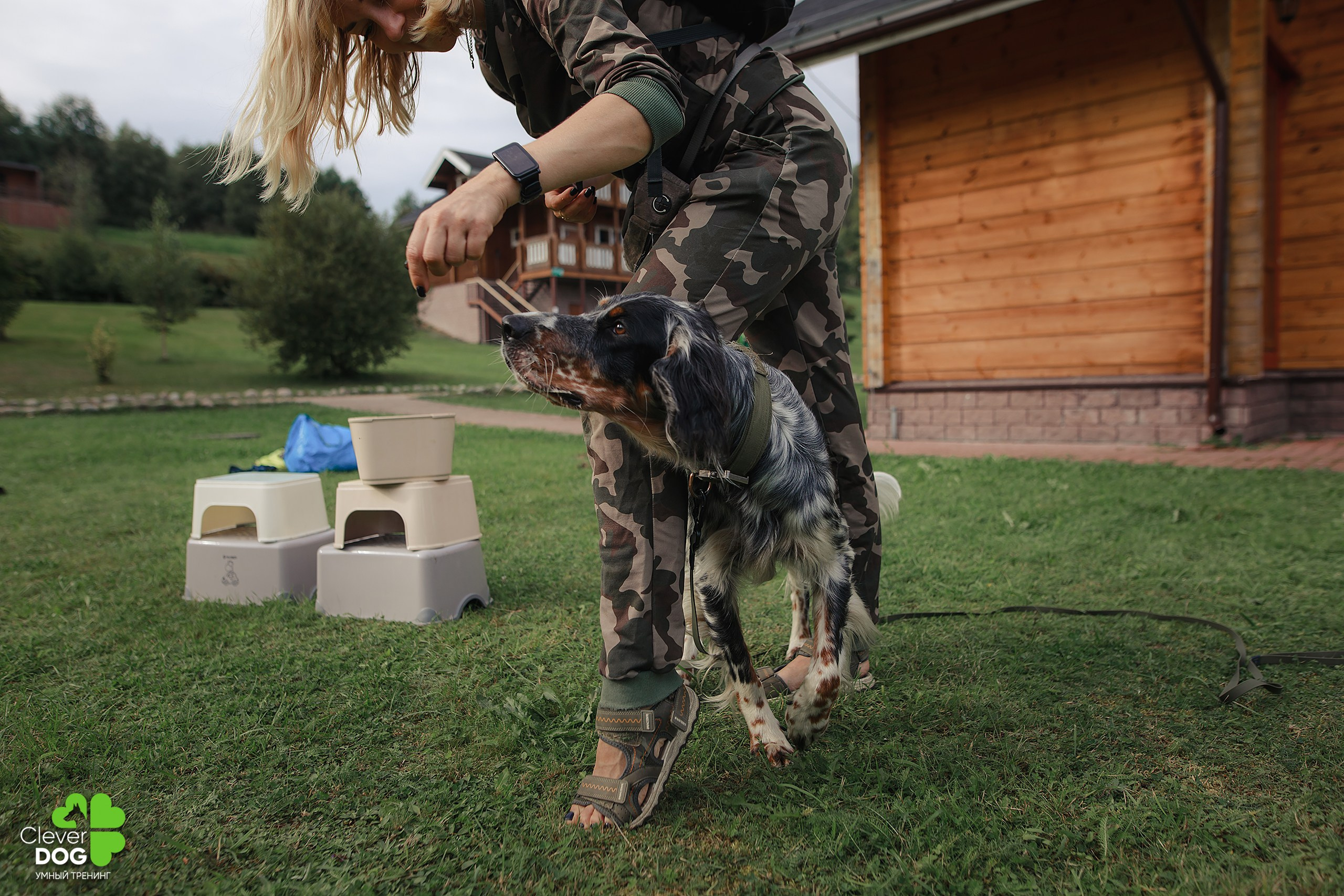 Кинологический лагерь CleverDog, 2024. Фотограф-анималист Mary Mart — Москва, Питер