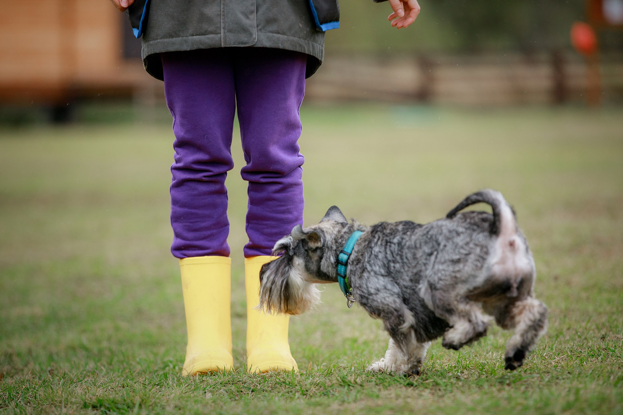 Лагерь по ОБД с Инной Баженовой. Фотограф-анималист Mary Mart — Москва, Питер