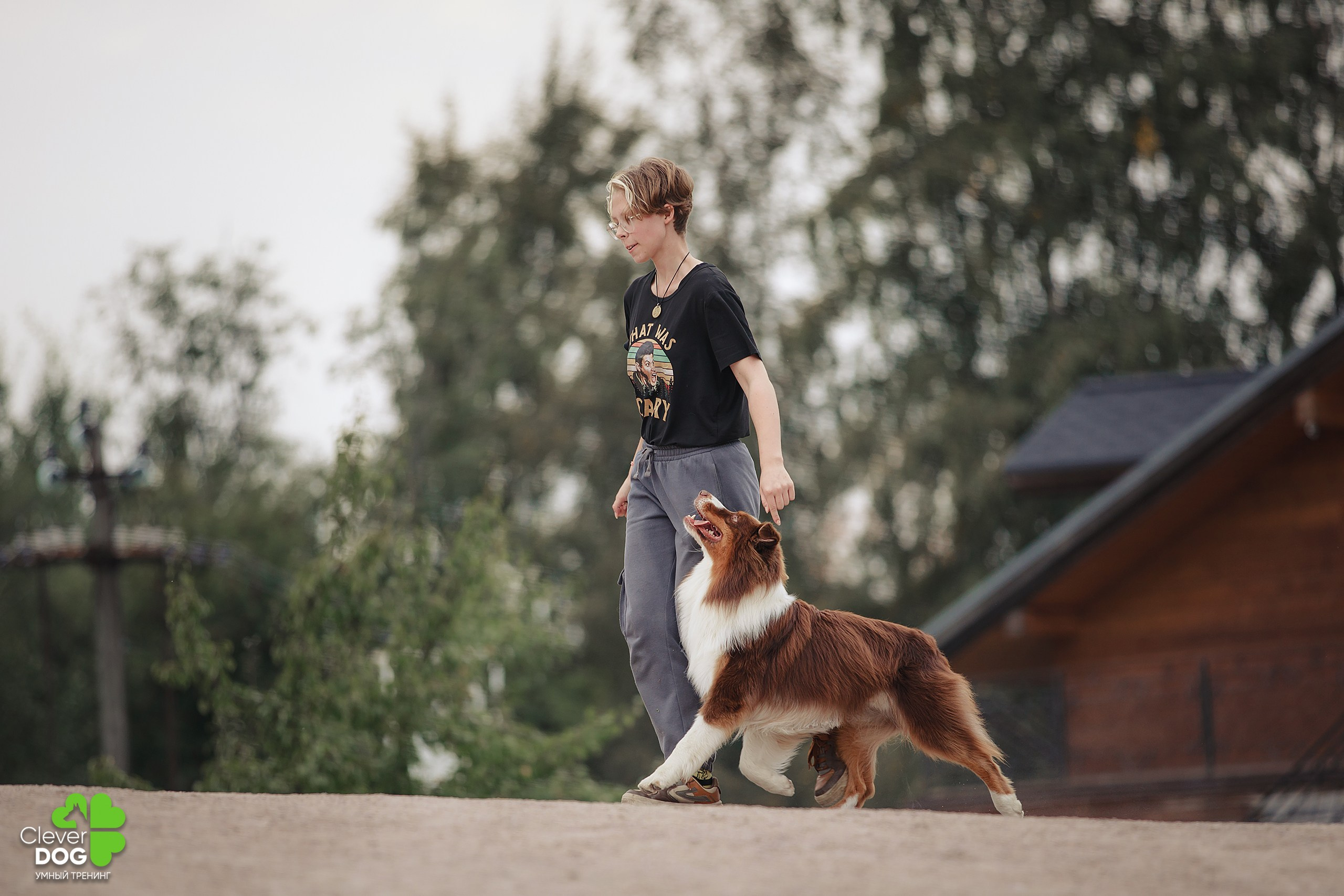 Кинологический лагерь CleverDog, 2024. Фотограф-анималист Mary Mart — Москва, Питер