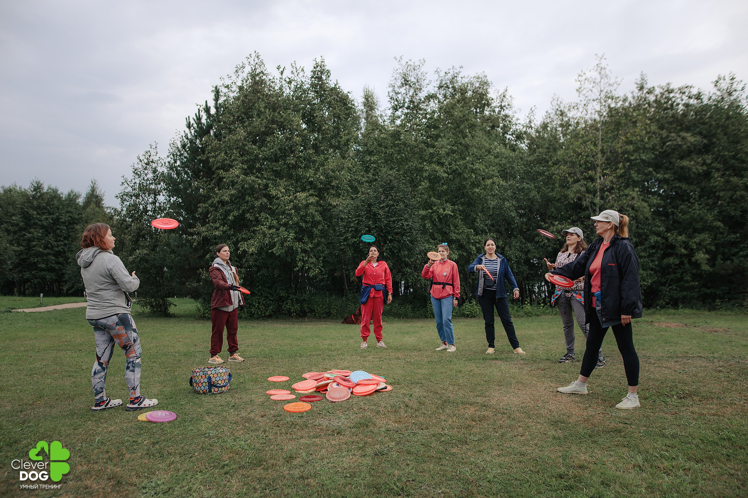 Кинологический лагерь CleverDog, 2024. Фотограф-анималист Mary Mart — Москва, Питер