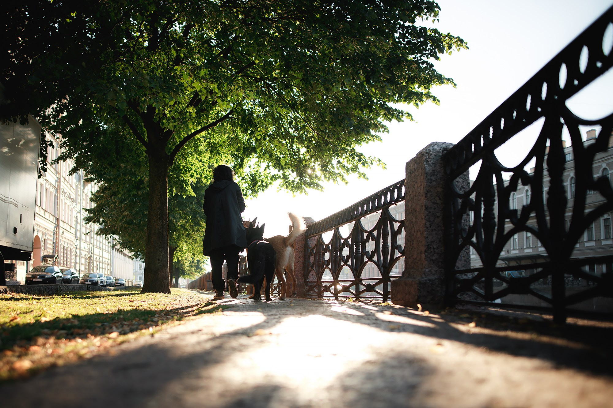 Алена, Кай и Мара. Фотограф-анималист Mary Mart — Москва, Питер