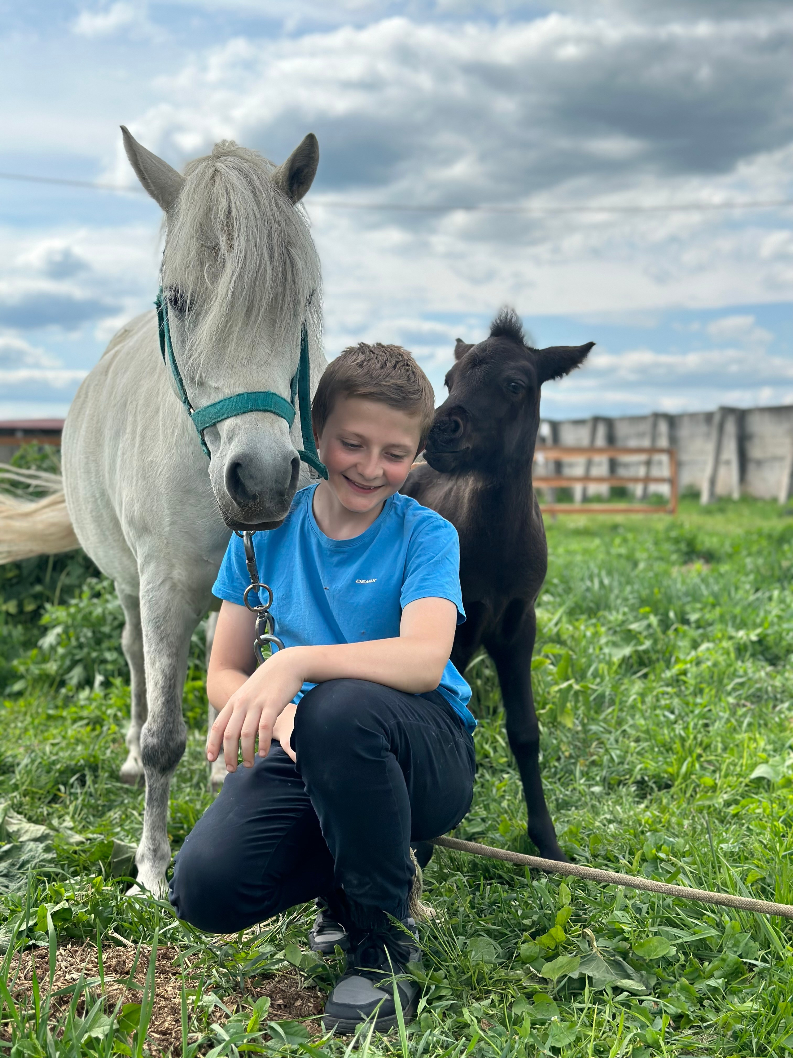 На ферме. Главная