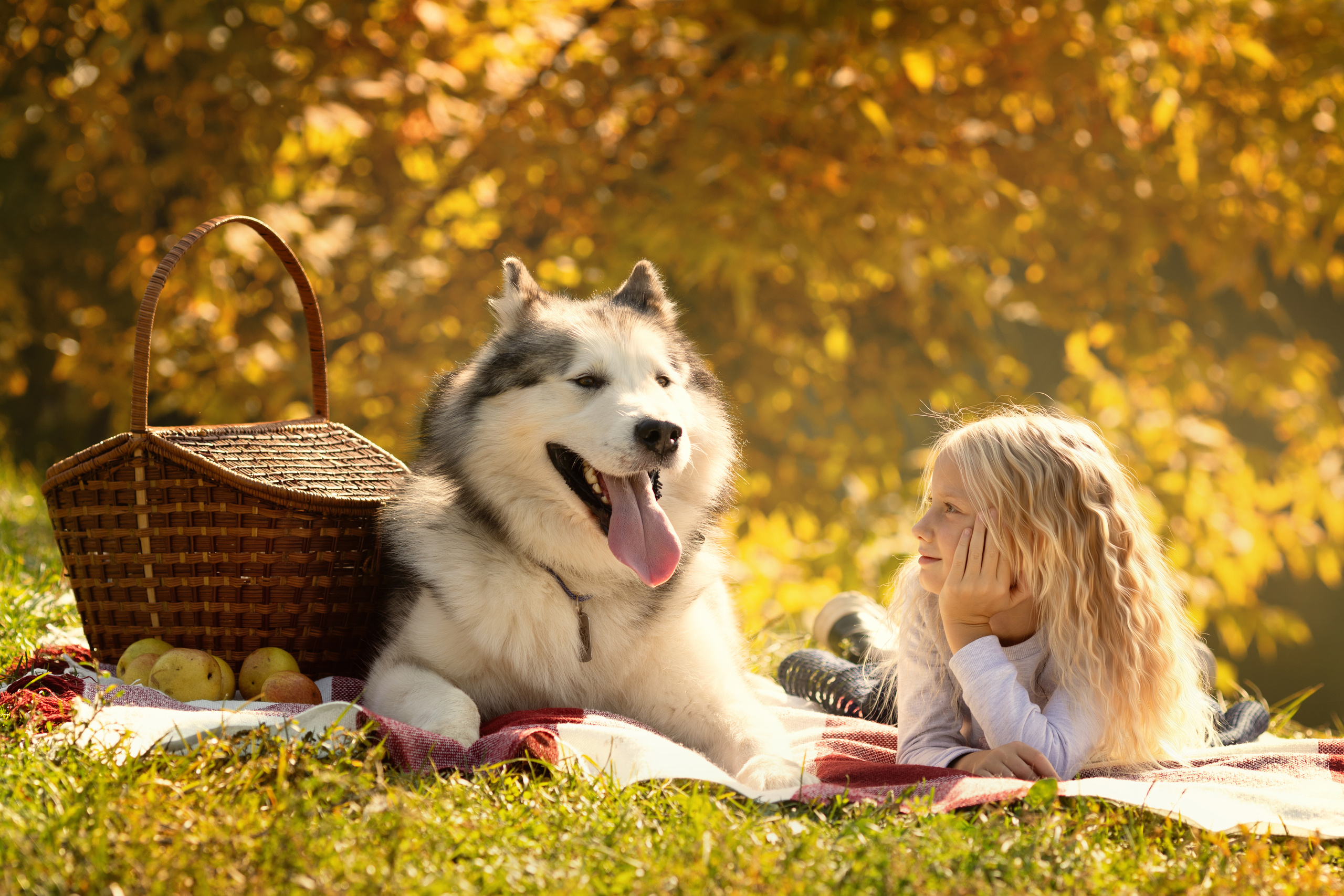 Феня+все. Парк в Кузьминках. Актерское и модельное портфолио. Фотограф в Москве Екатерина Коломеец