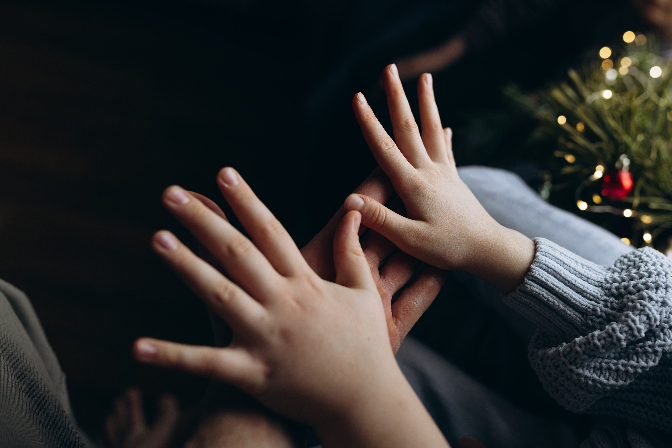 Печеньки. Фотограф Людмила Оюн