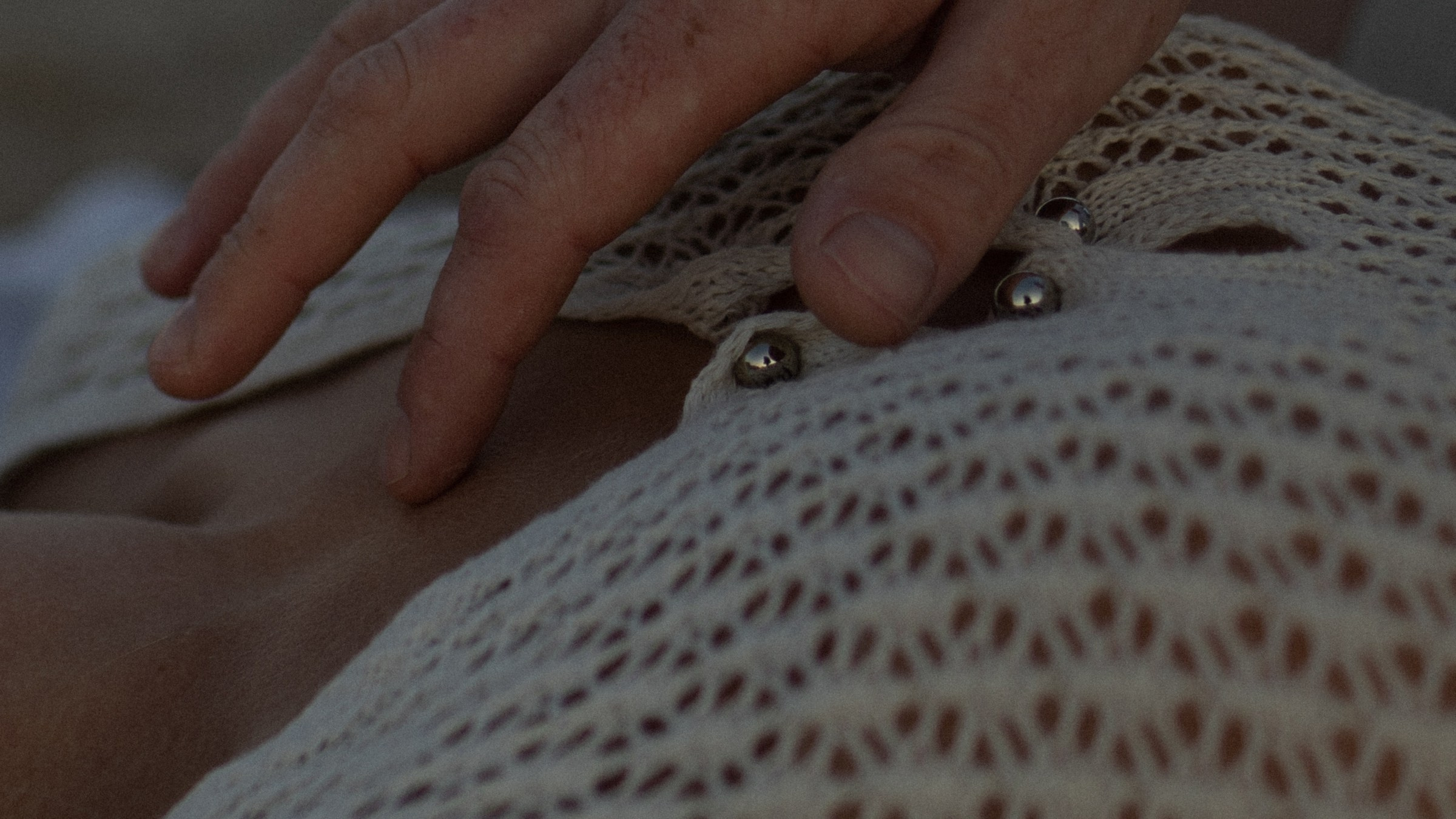 Рассвет. Фотограф Daria Wilner