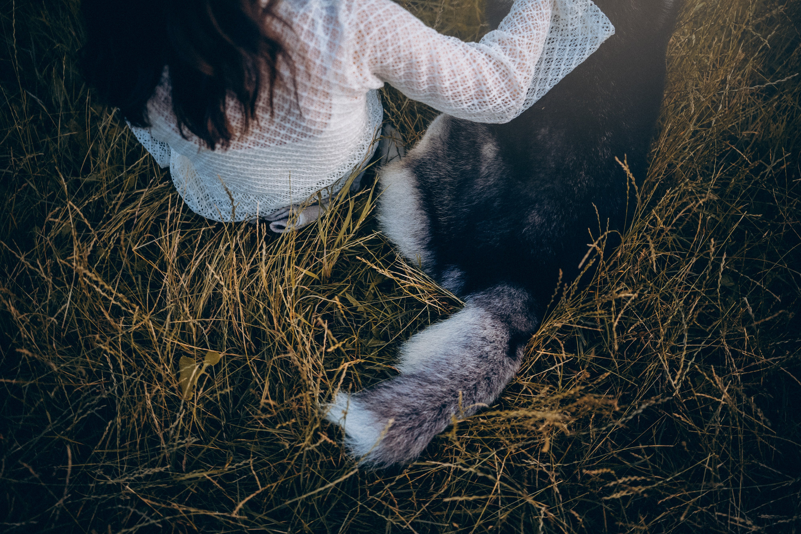 Мария и Вегас. Фотограф анималист в Москве и Санкт-Петербурге Свиридова Анна
