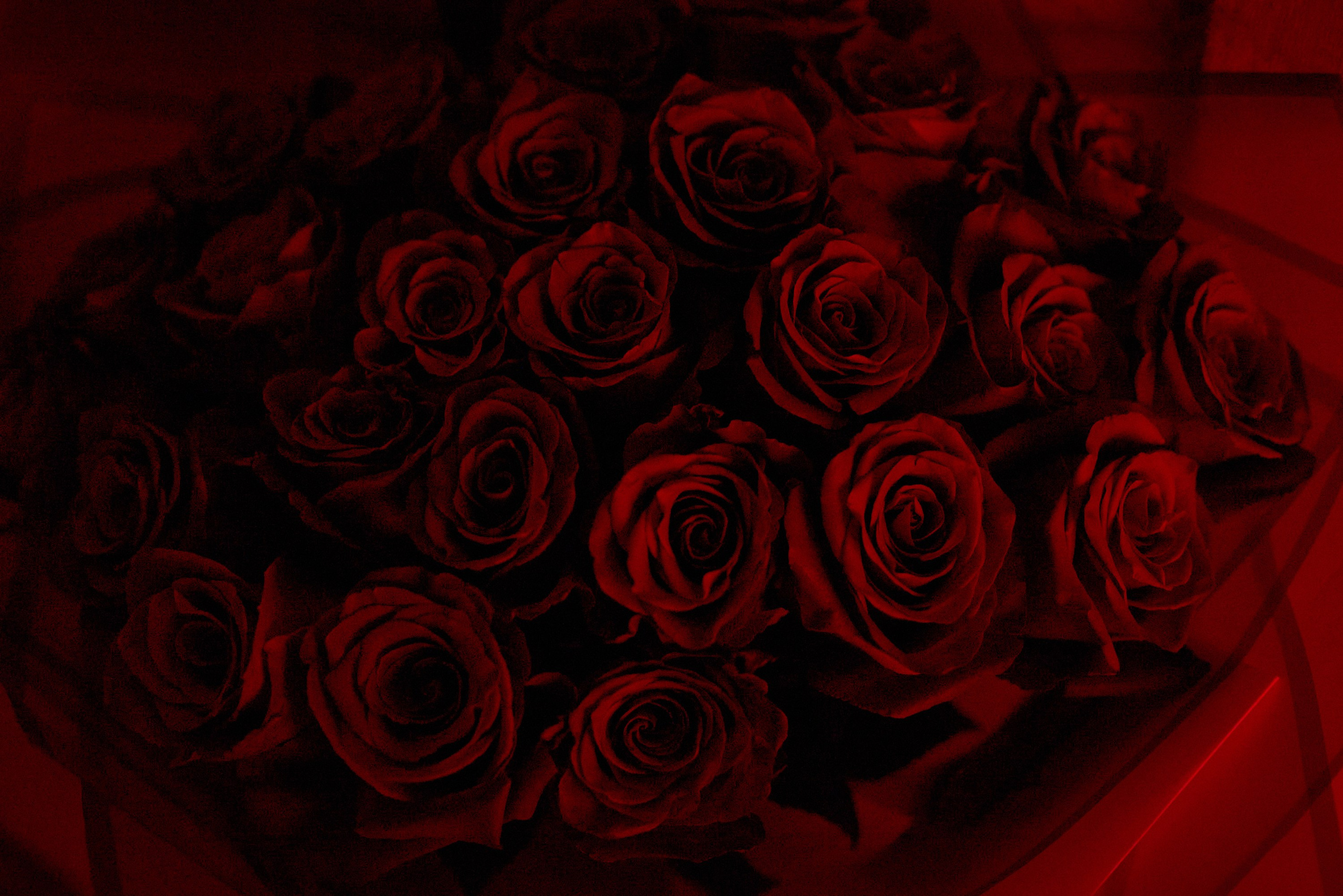 События. Sasha Lapin