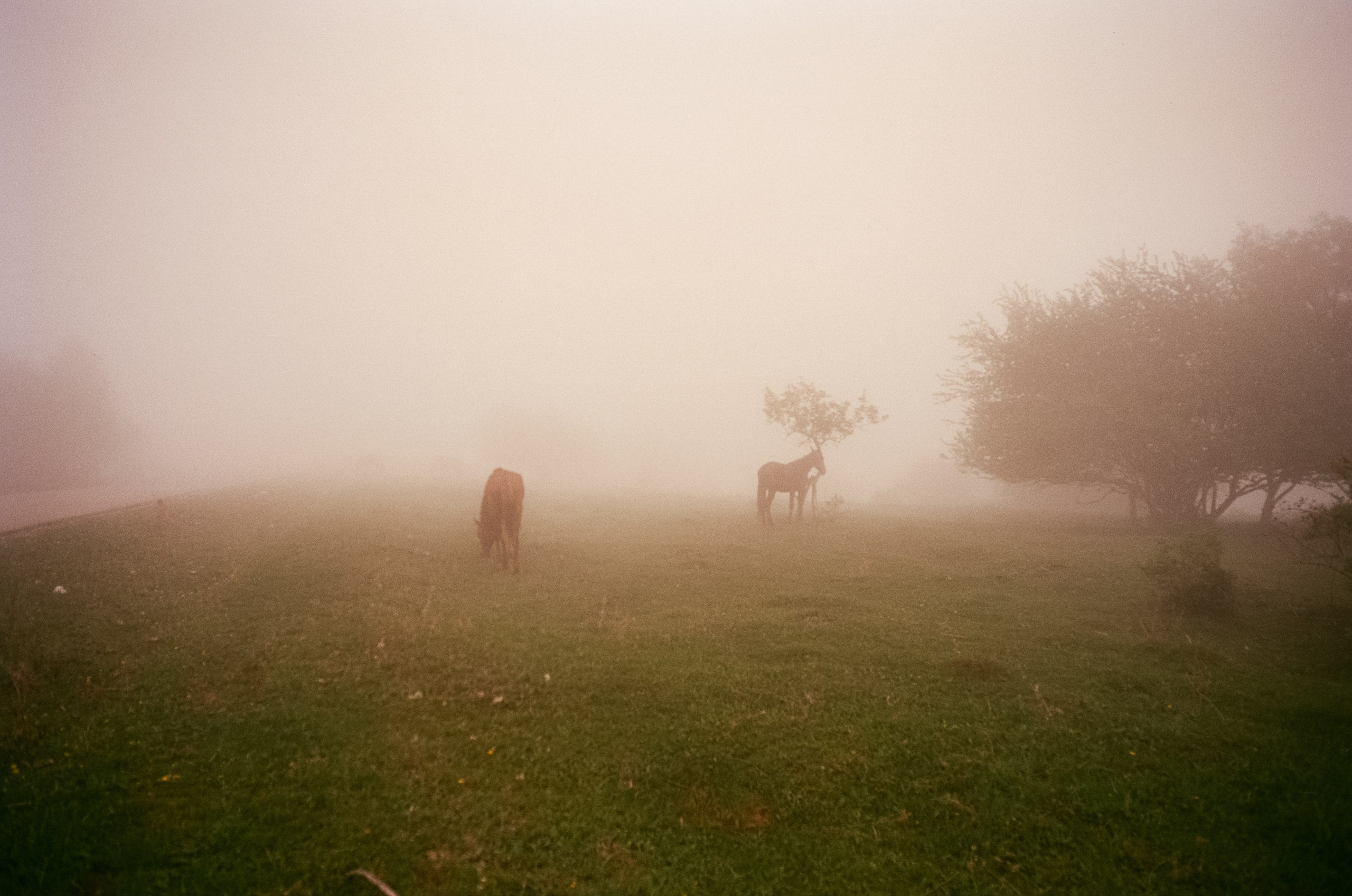 Кавказские Минеральные Воды | май 2024