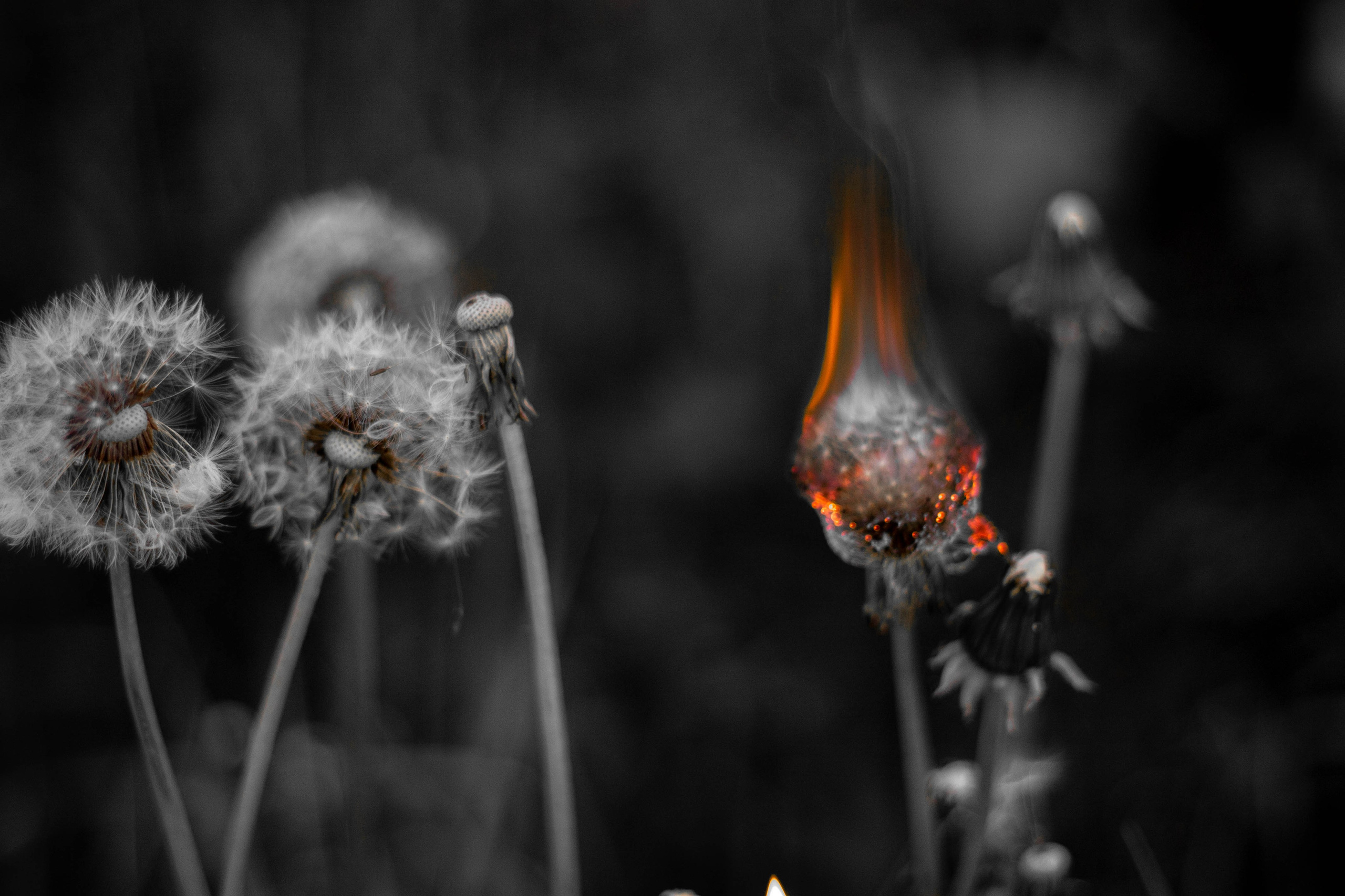 Случайные снимки — творческий фотопроект | EMBOD