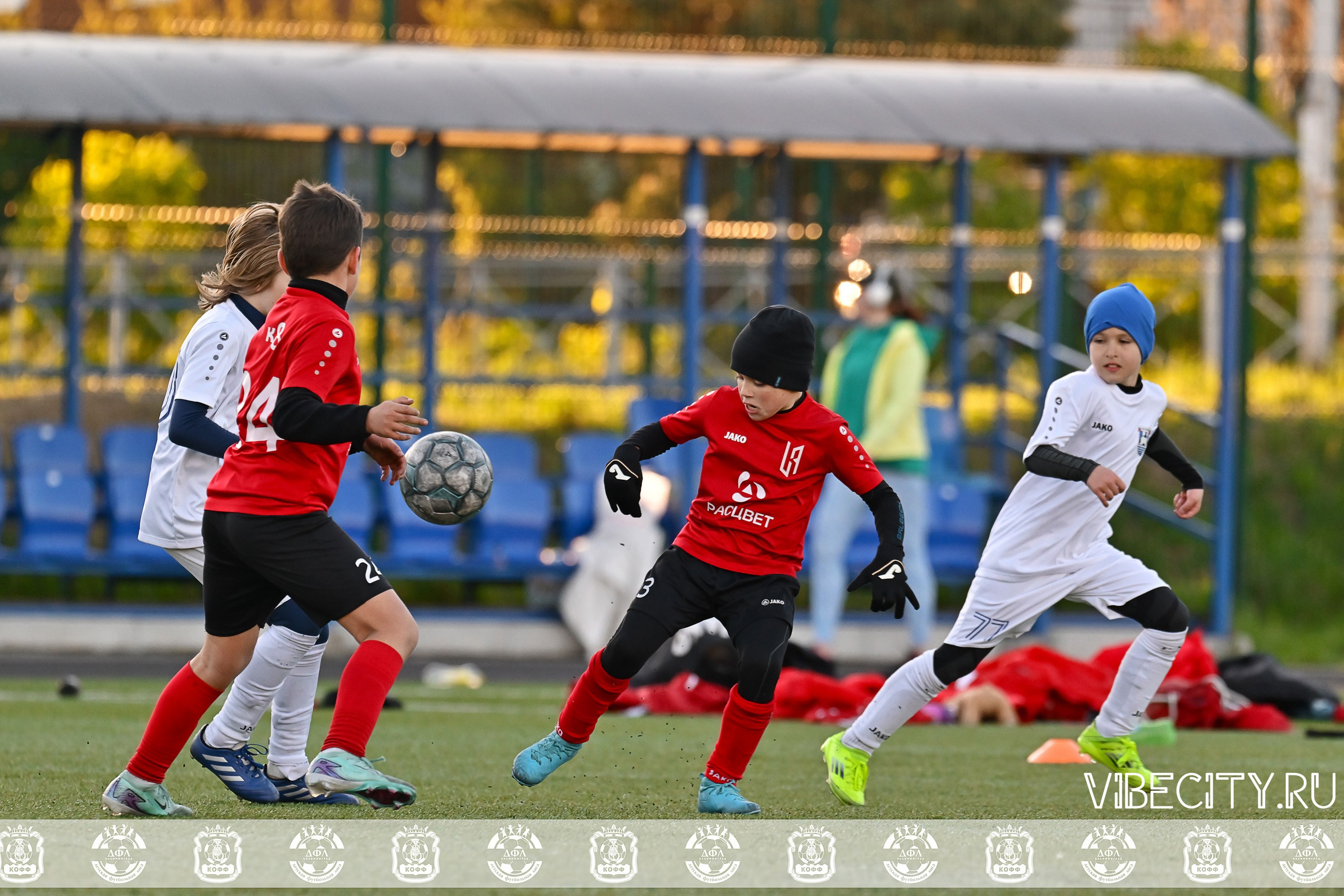 XIV ВСЕРОССИЙСКИЙ ФУТБОЛЬНЫЙ ФЕСТИВАЛЬ «ЗАГРУЗИ СЕБЯ ФУТБОЛОМ!». VIBECITY.RU Вайб Сити Ру Фоторепортажи Фотоотчеты Калининград
