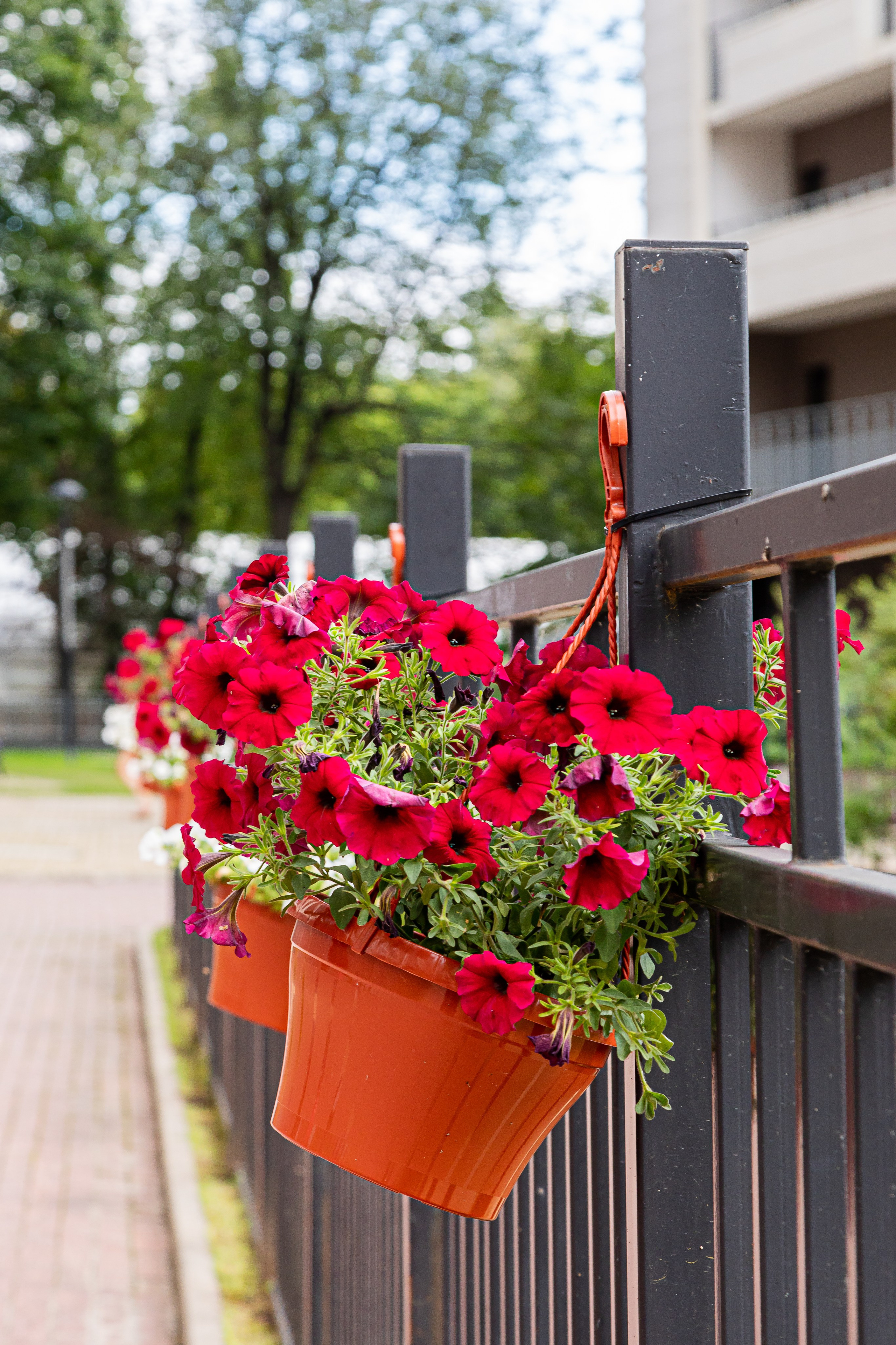 Квартира на продажу. Главная