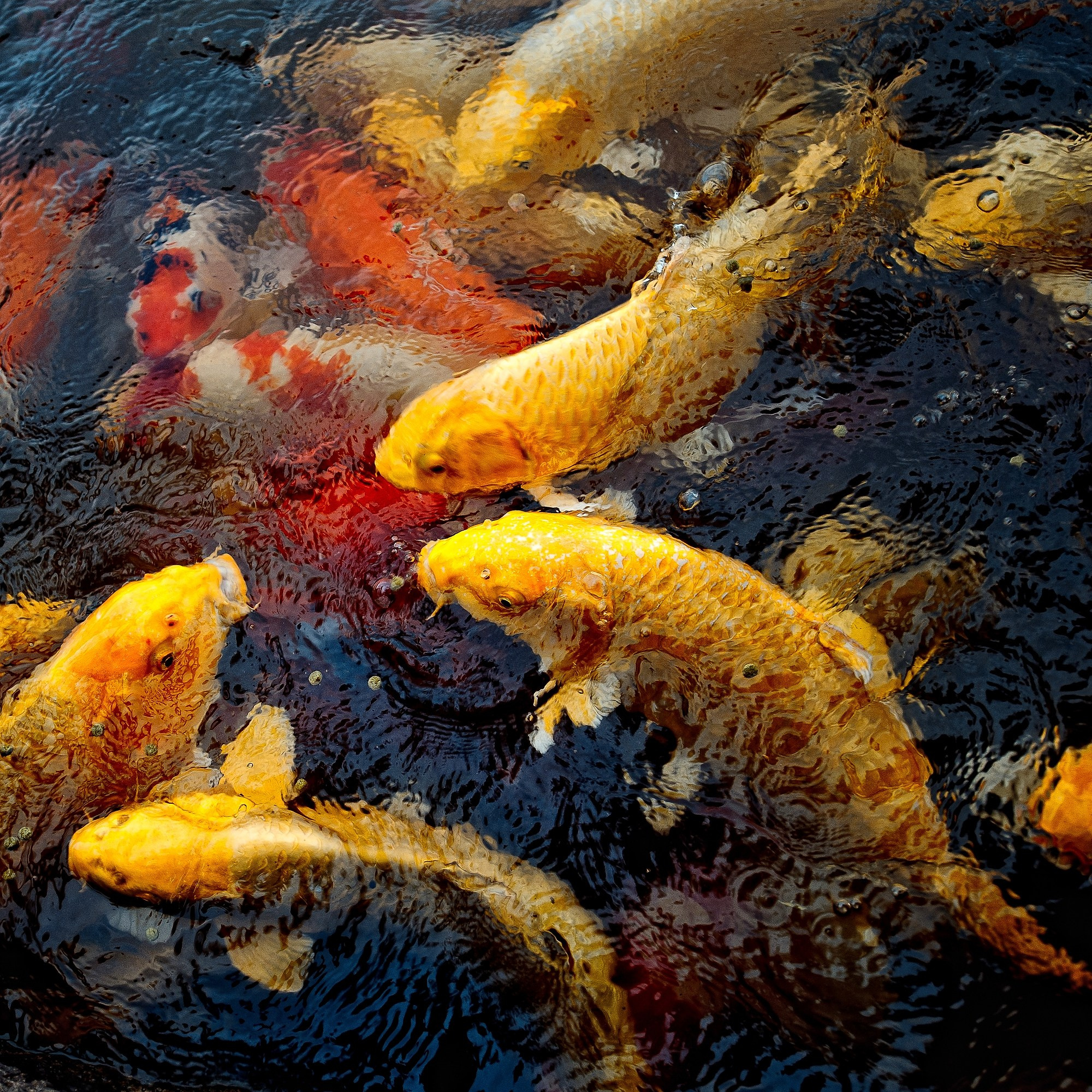 Пространство. Промышленная и репортажная фотография