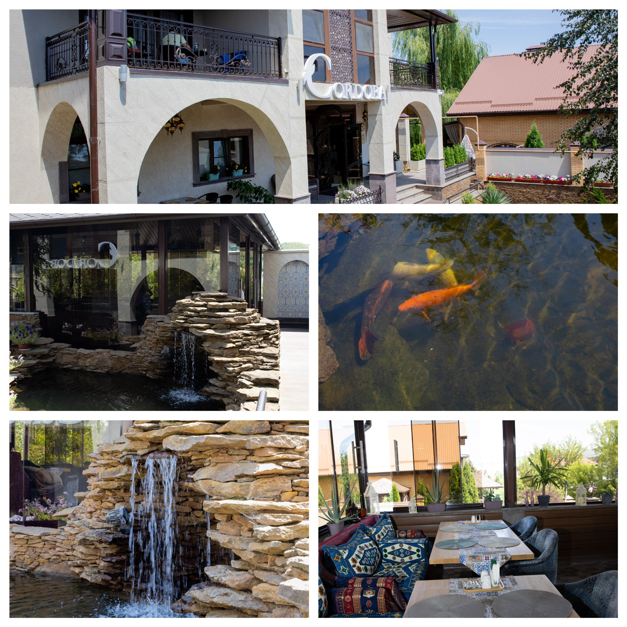 Нетворкинг, г. Кисловодск. Медиапродюсер, фотограф в Минеральных Водах —Виктор Холодов