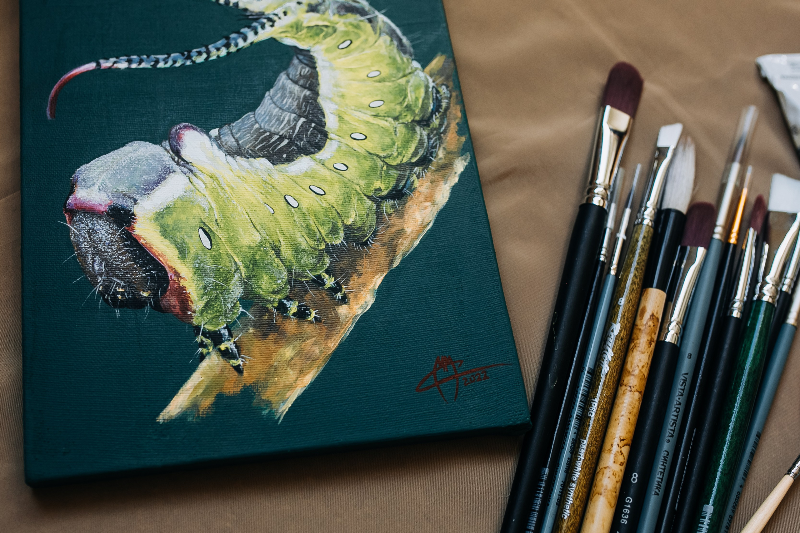 Художник. Фотограф в Новосибирске Ася Зверева