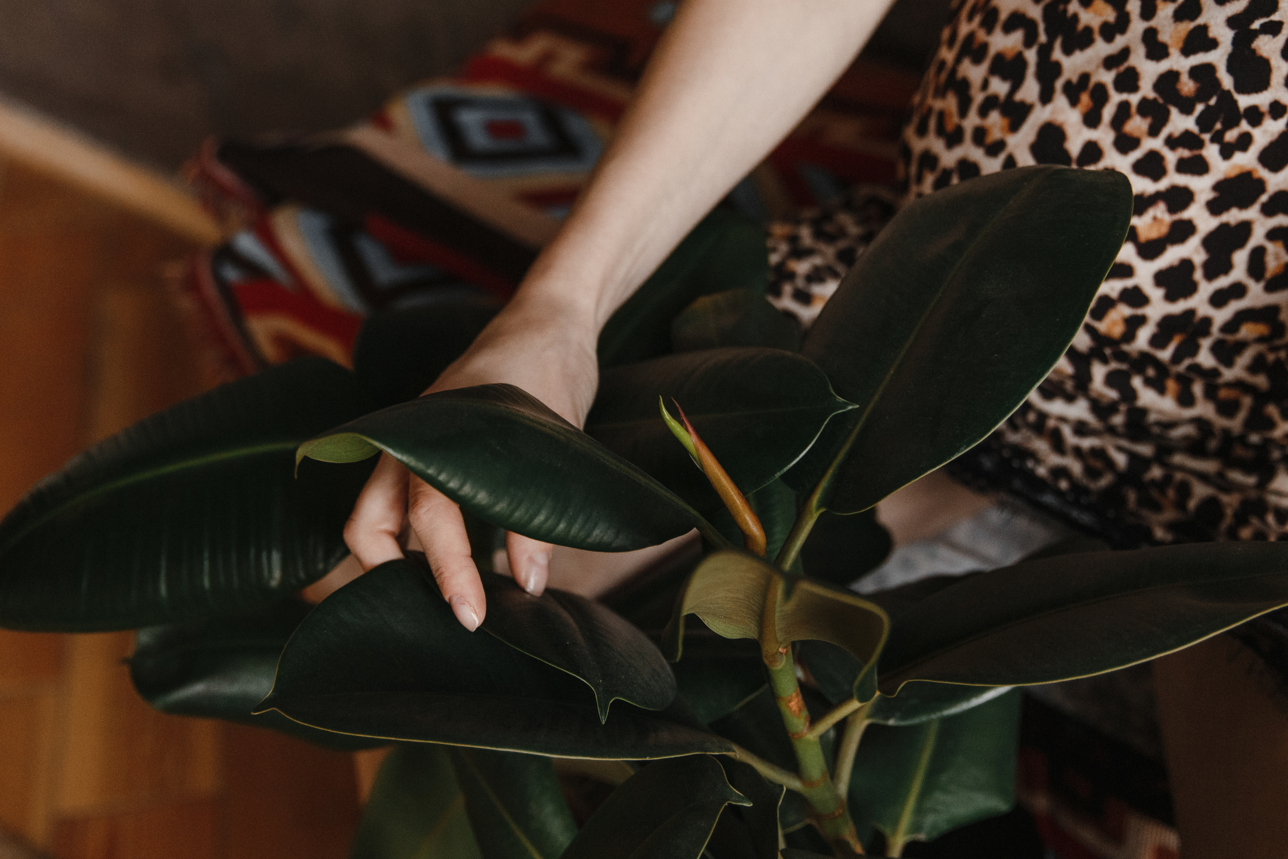 Катя. Свадебный и семейный фотограф Ксения Ржевская (Митрохина)