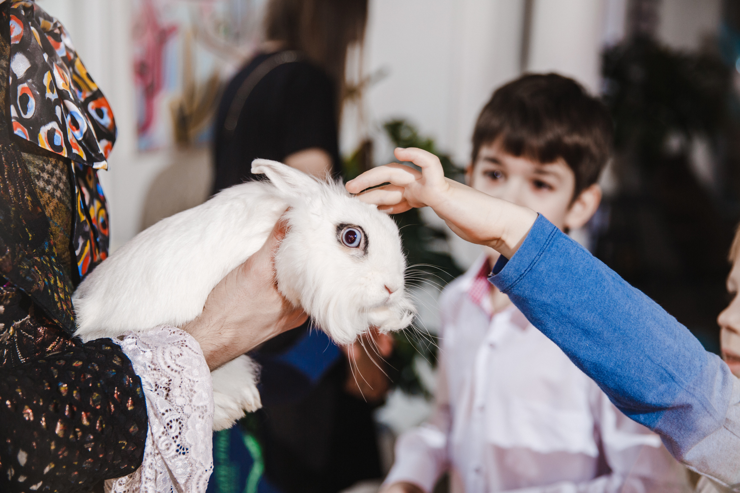 Алиса в стране чудес. Свадебный и семейный фотограф Ксения Ржевская (Митрохина)