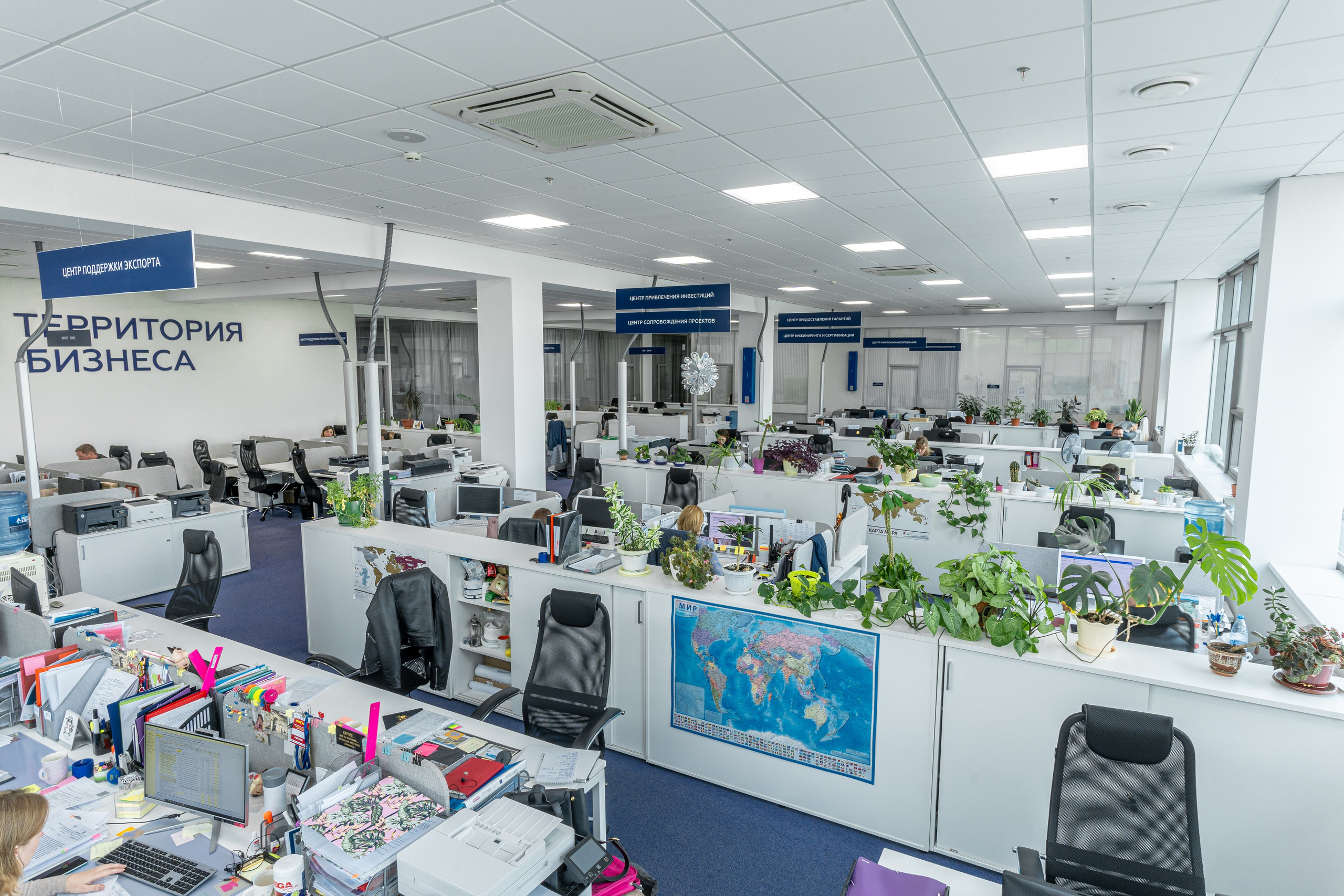 Интерьер. Фотограф, Видеограф и Ваш личный Эксперт по Маркетингу