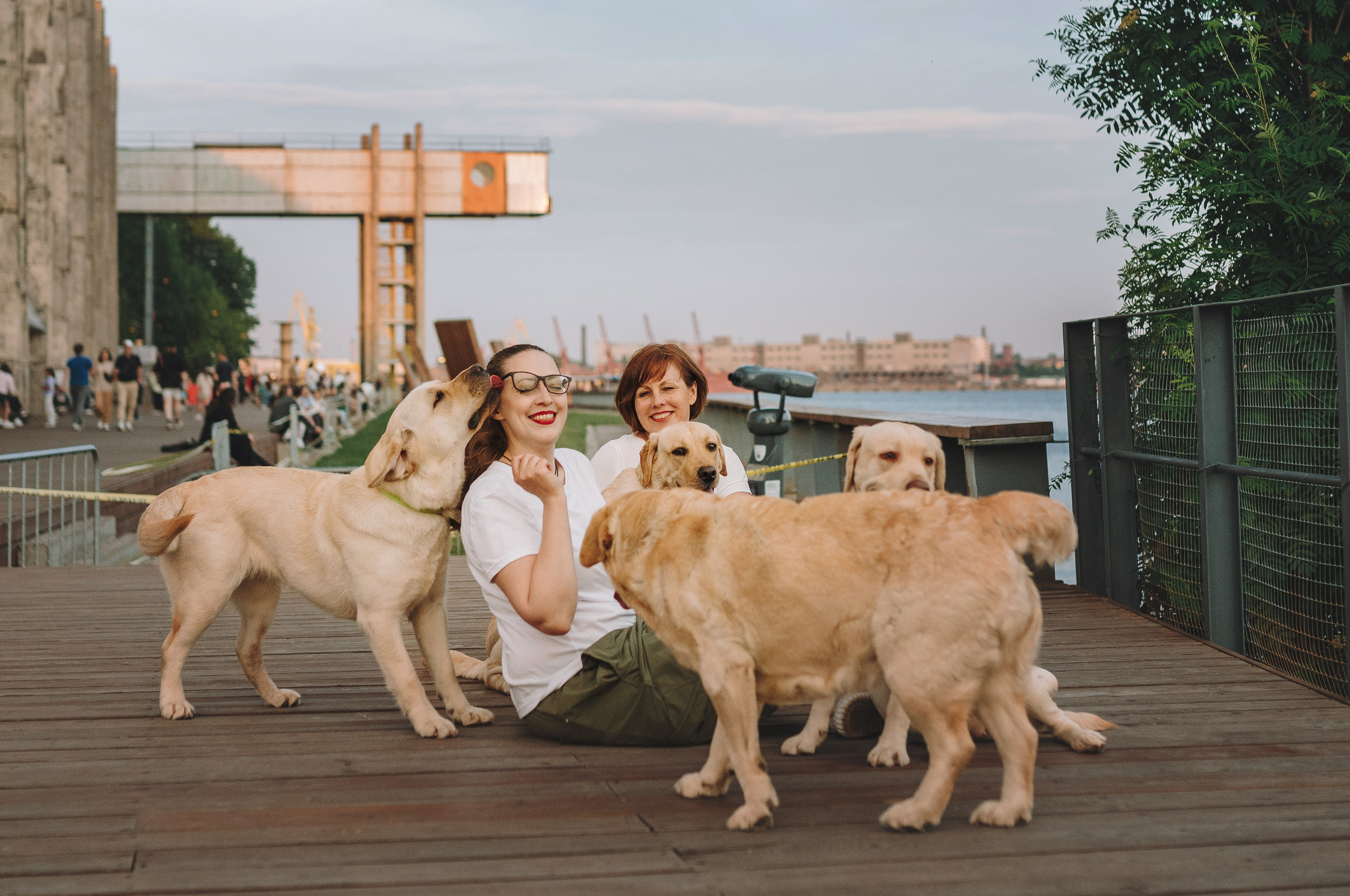 Фотосъёмка с вашими питомцами. Фотограф анималист в Спб недорого Олеся Майорова