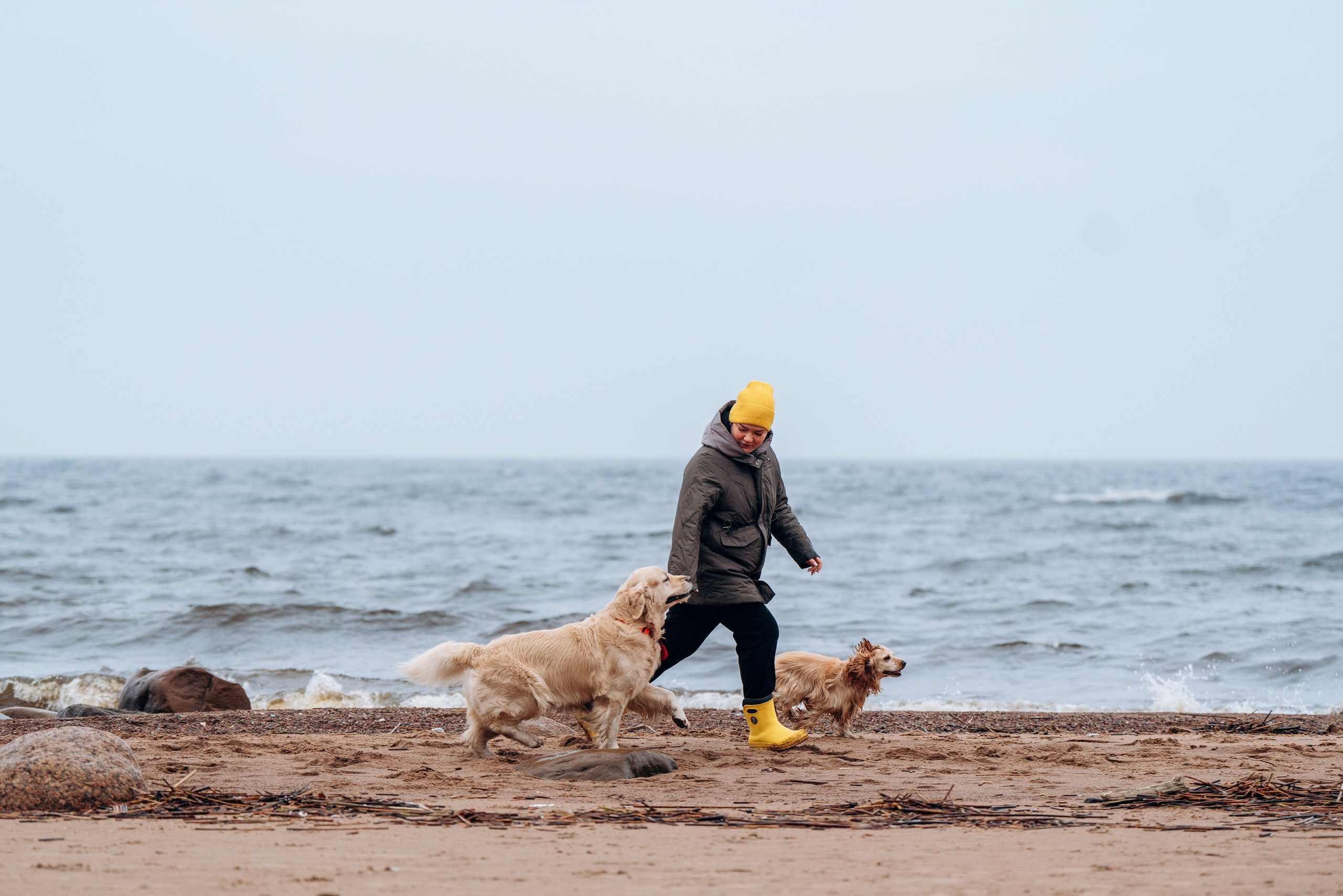 Асти, Крис и Александра. Фотограф анималист в Спб недорого Олеся Майорова