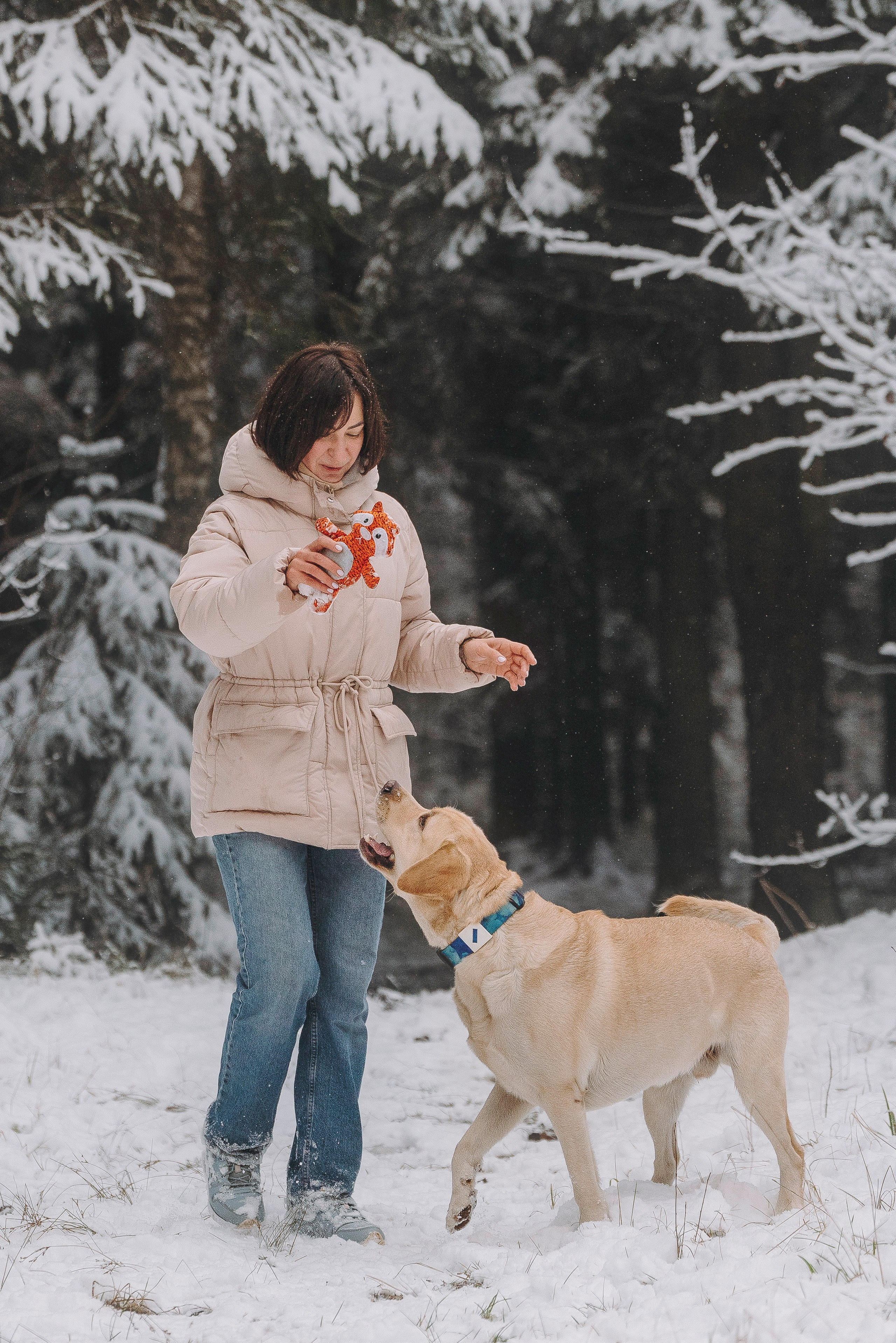 Аня и Честер. Фотограф анималист в Спб недорого Олеся Майорова