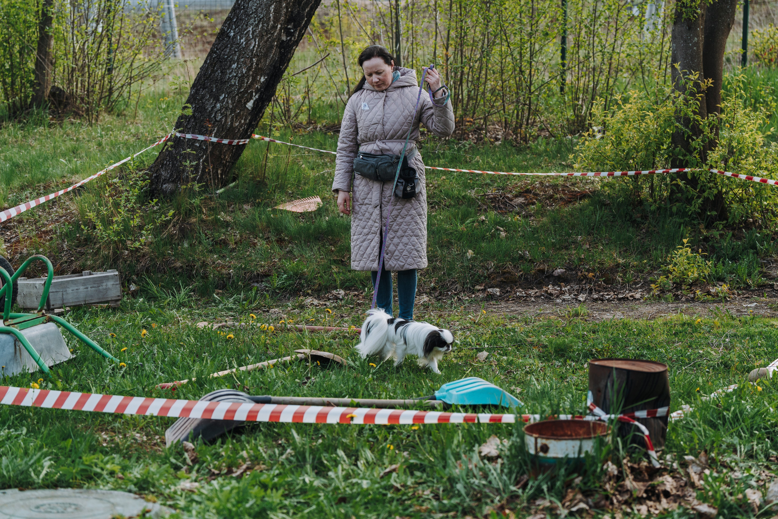 Соревнования по ноузворку в Лосево. Фотограф анималист в Спб недорого Олеся Майорова