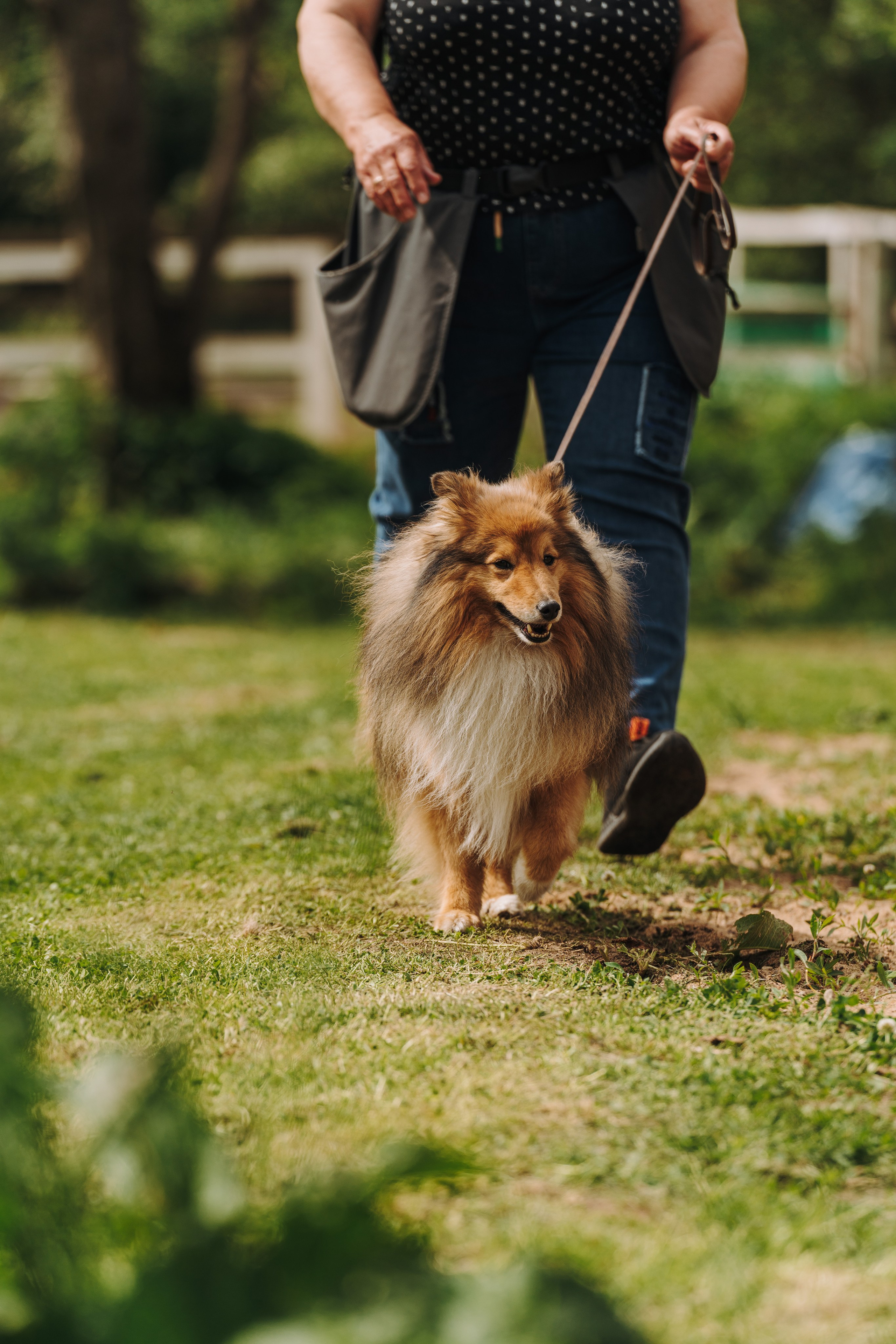 Соревнования по ноузворку. Фотограф анималист в Спб недорого Олеся Майорова