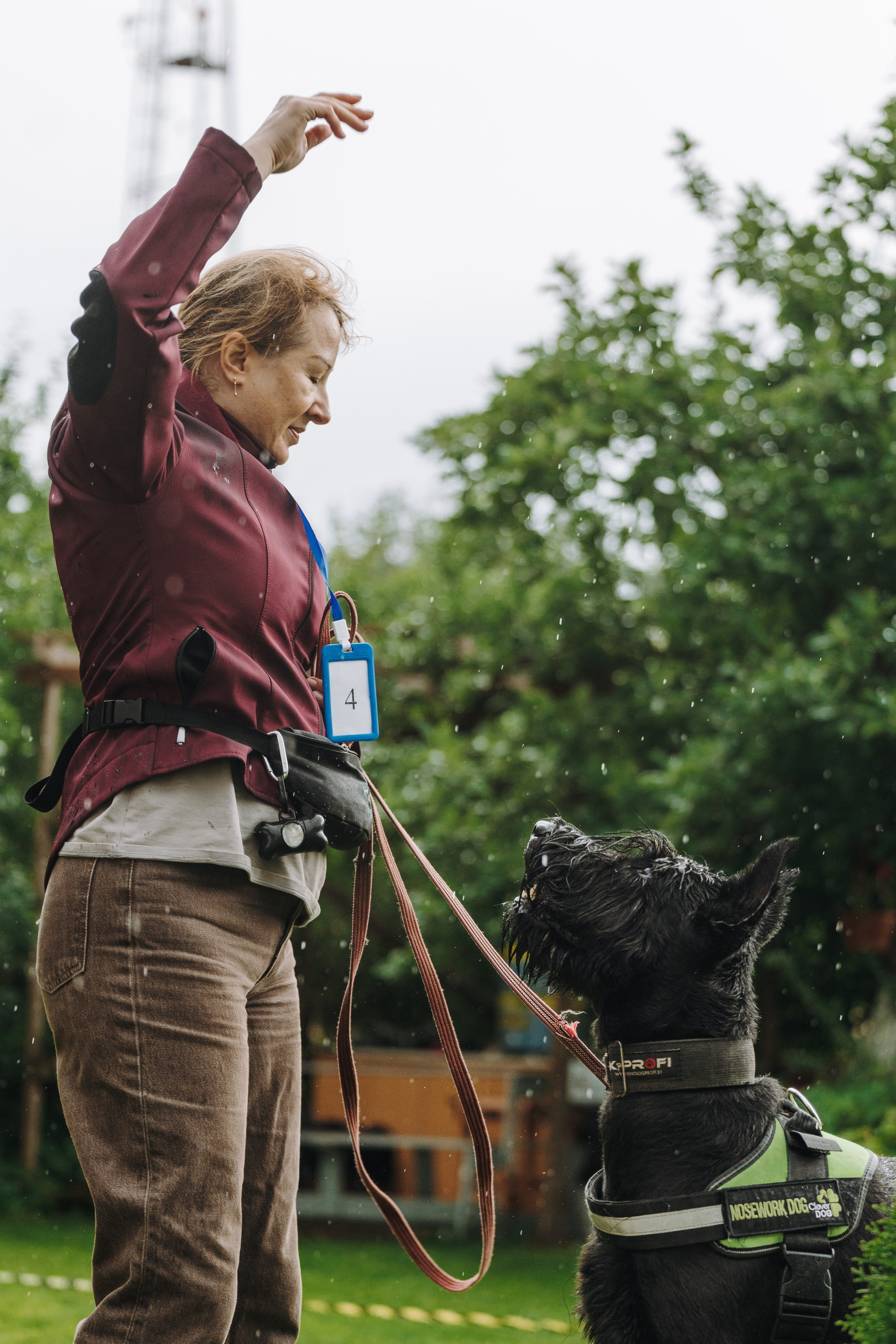 Соревнования по ноузворку в Новожилово. Фотограф анималист в Спб недорого Олеся Майорова