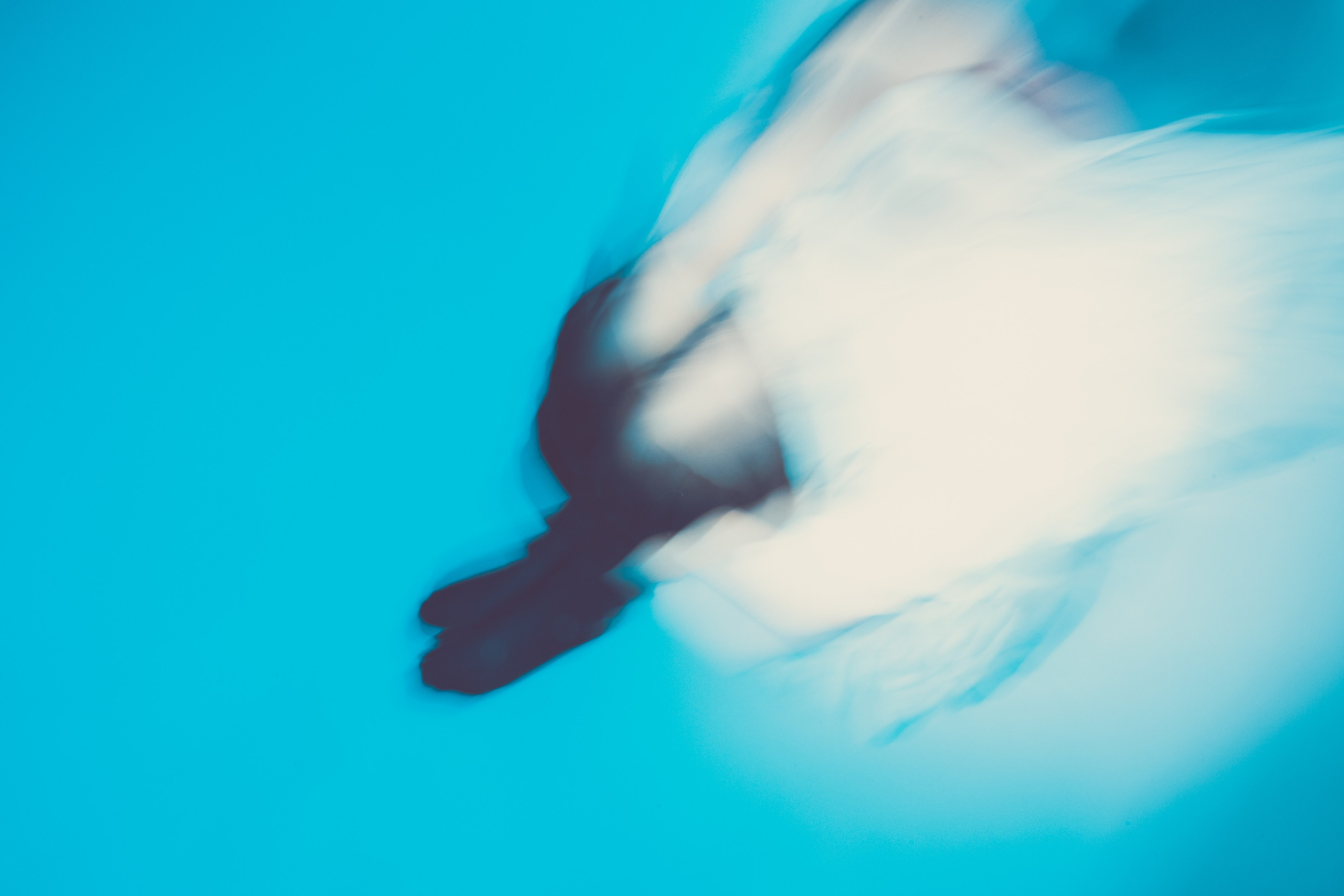 Фотограф в Казани Чебакова Александра