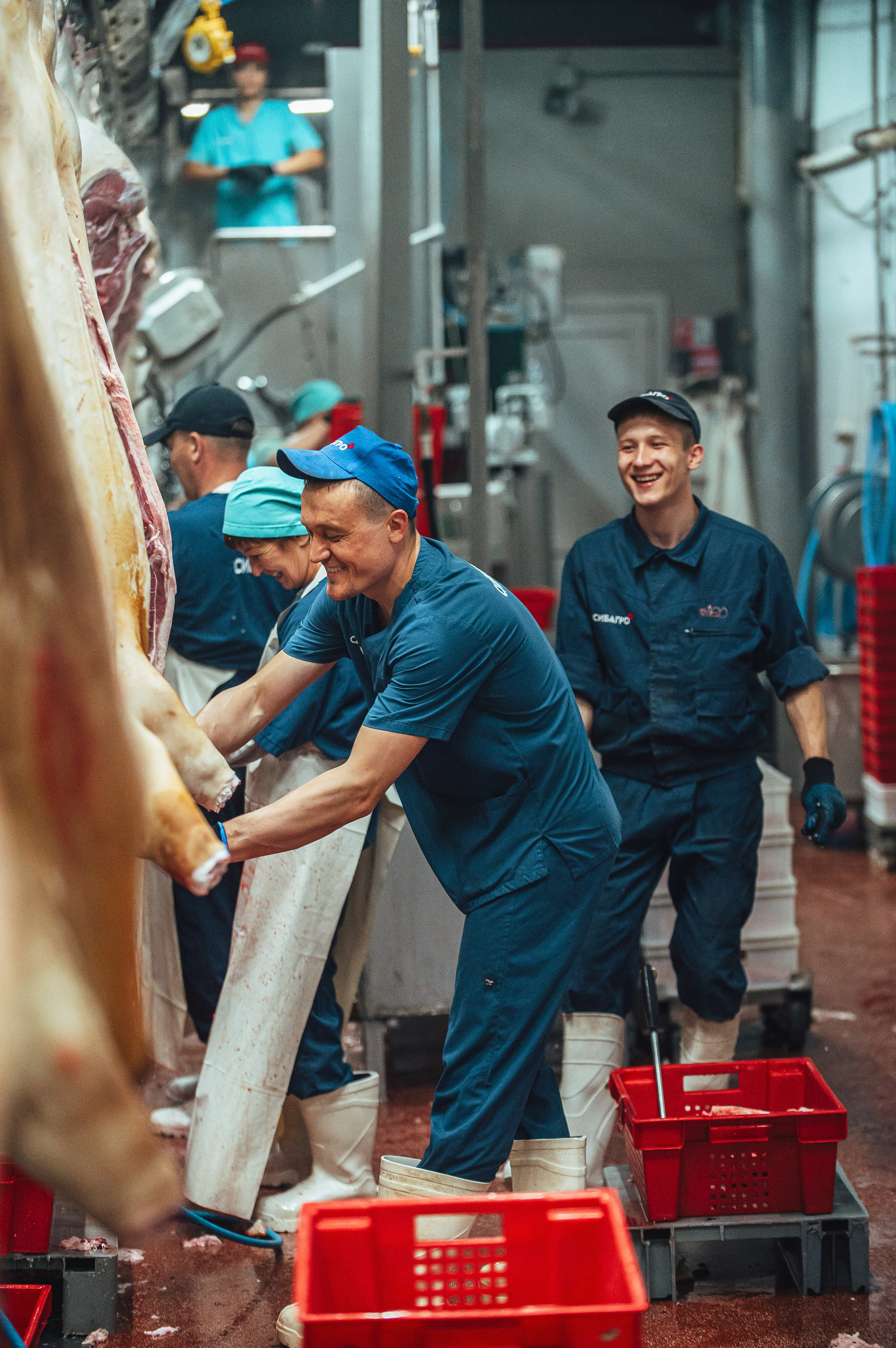 Свинокомплекс «СИБАГРО». Свадебная и концептуальная фотография в городе Улан-Удэ