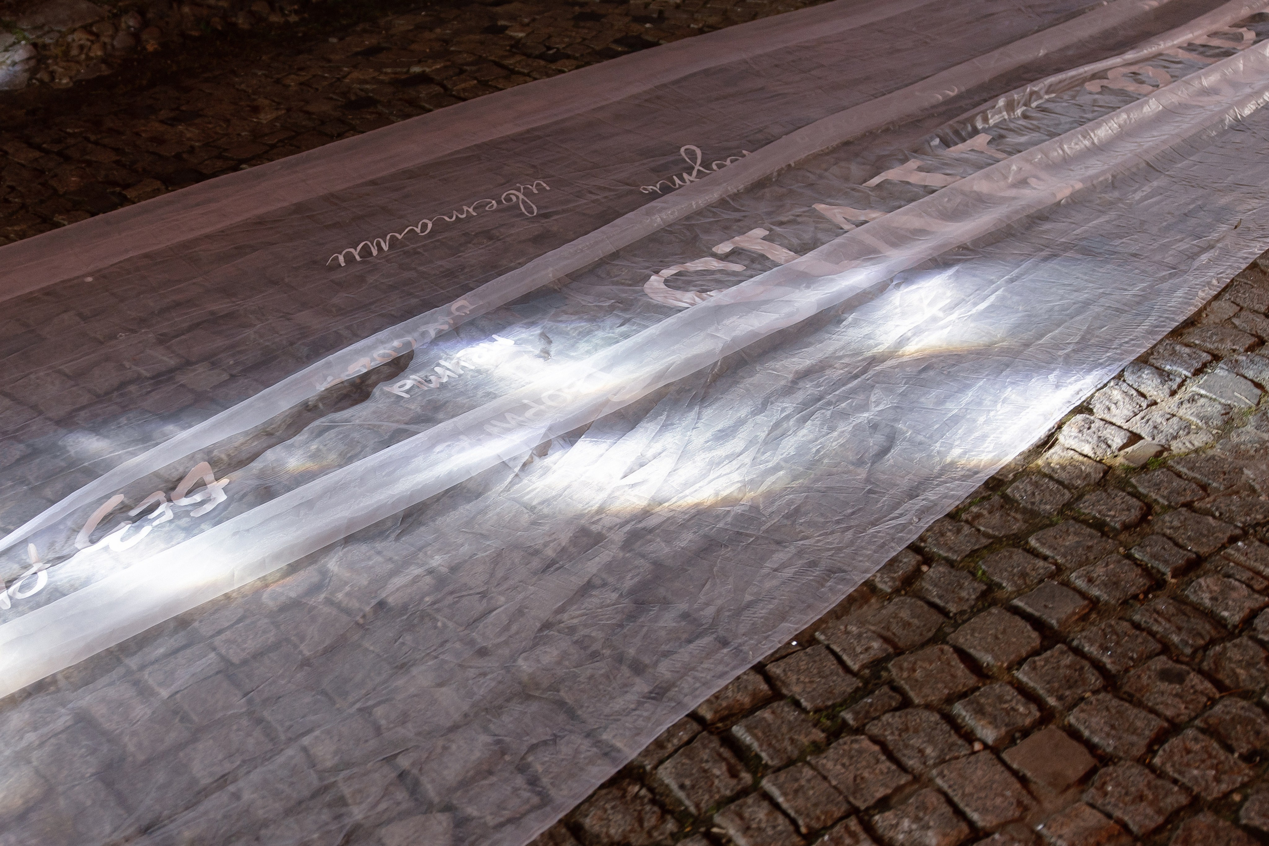 Rara Avis Fashion Show 2025. Свадебный фотограф Москва и Санкт-Петерург Артем Мамонов