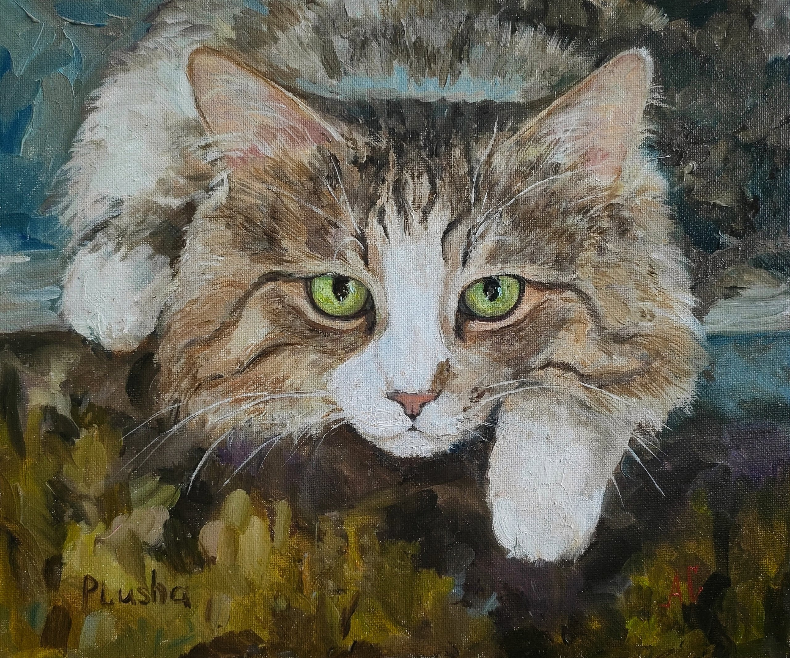"Кот Плюша", холст / масло, 2024