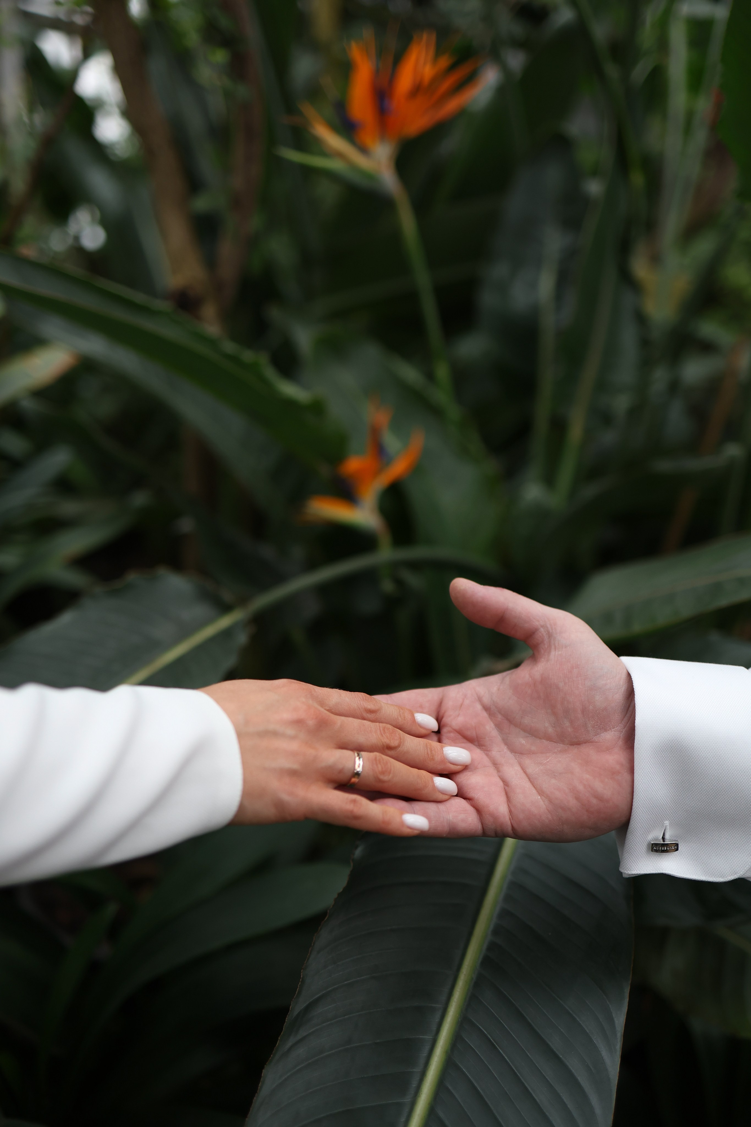 Алексей и Ксения. Фотограф и видеограф в Москве Полина Абраменкова