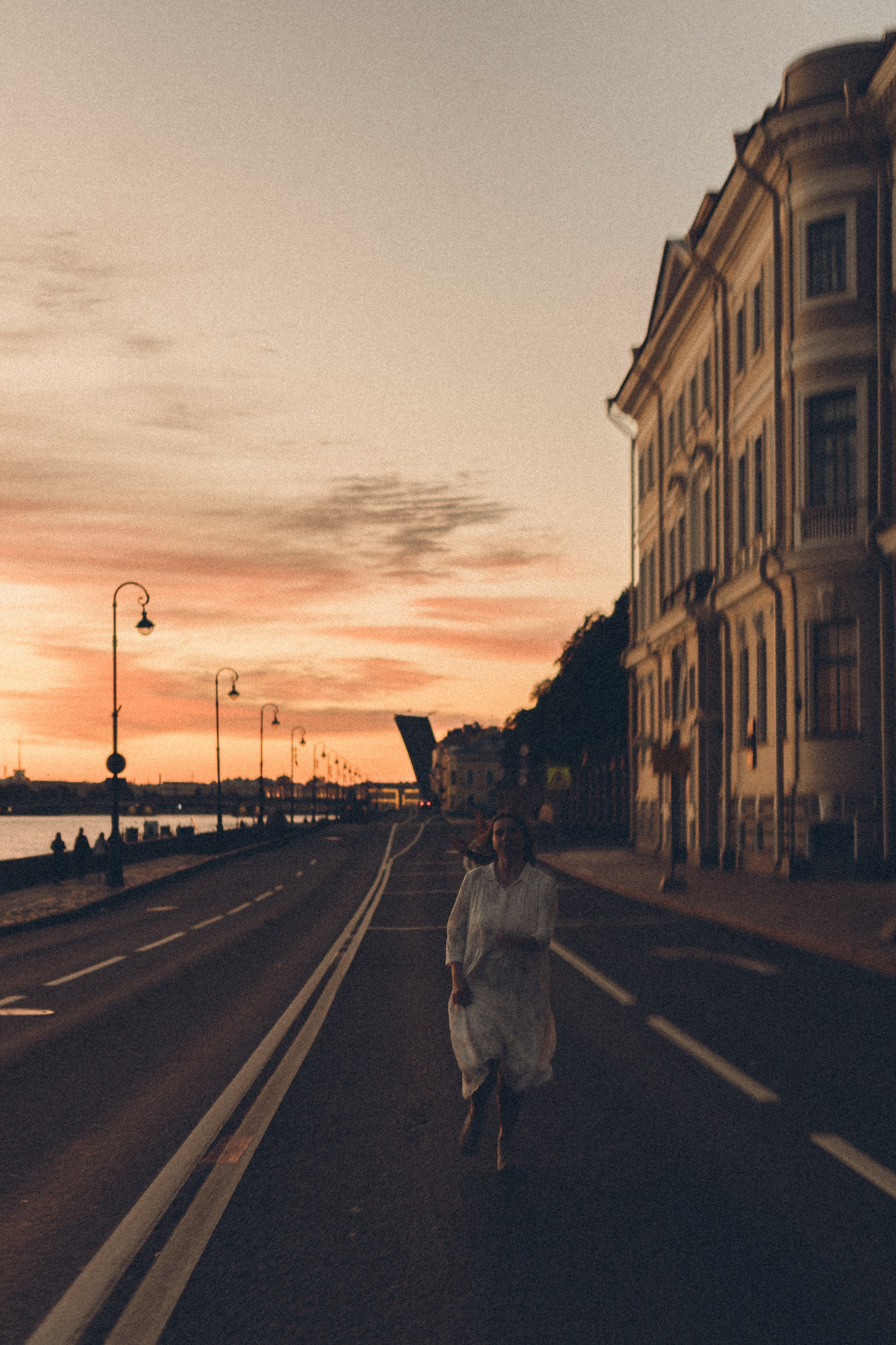 РАССВЕТ С РАЗВОДНЫМИ МОСТАМИ. Профессиональный фотограф, Санкт-Петербург — Виктория Богомолова