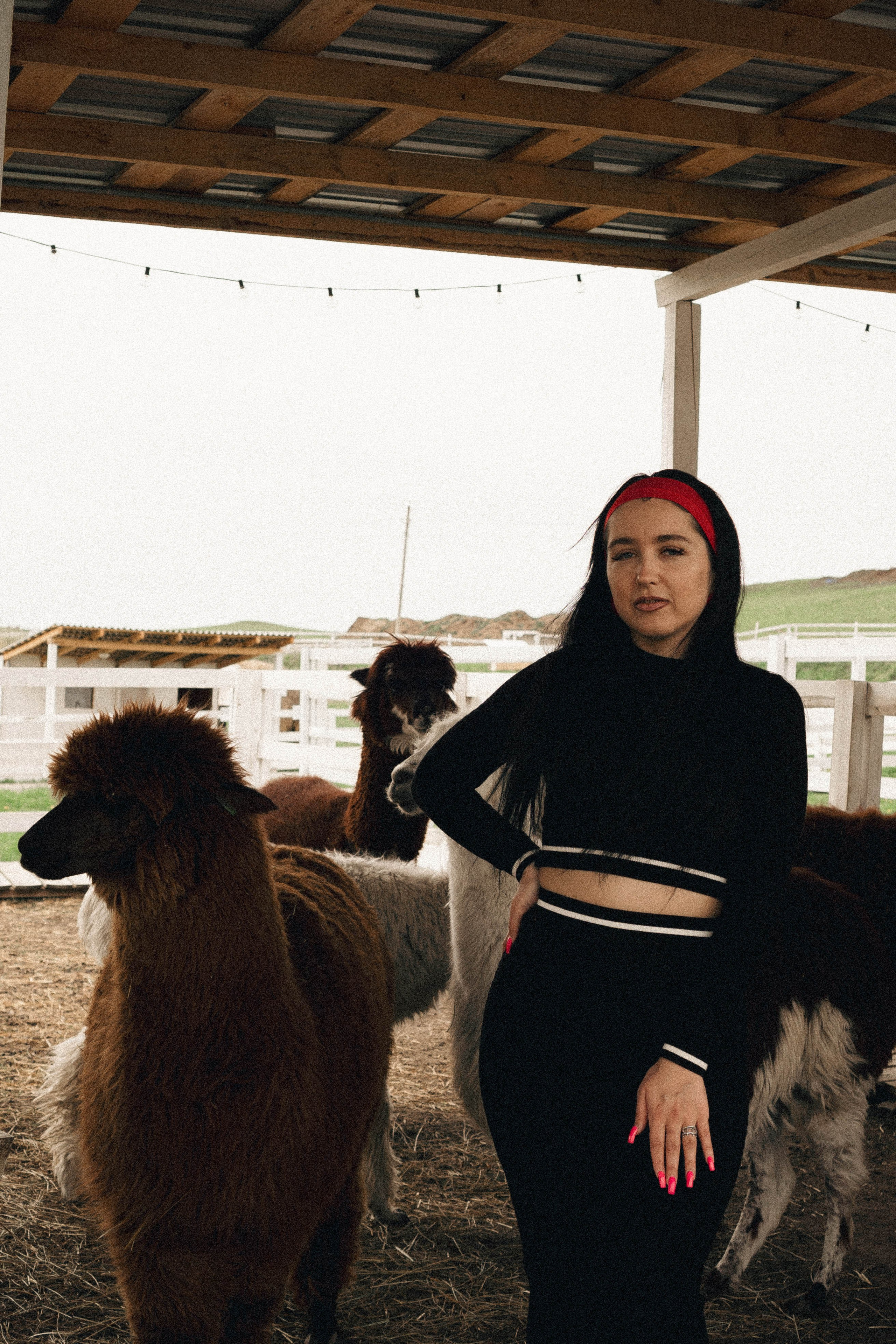 Ферма Альпак. Профессиональный фотограф, Санкт-Петербург — Виктория Богомолова