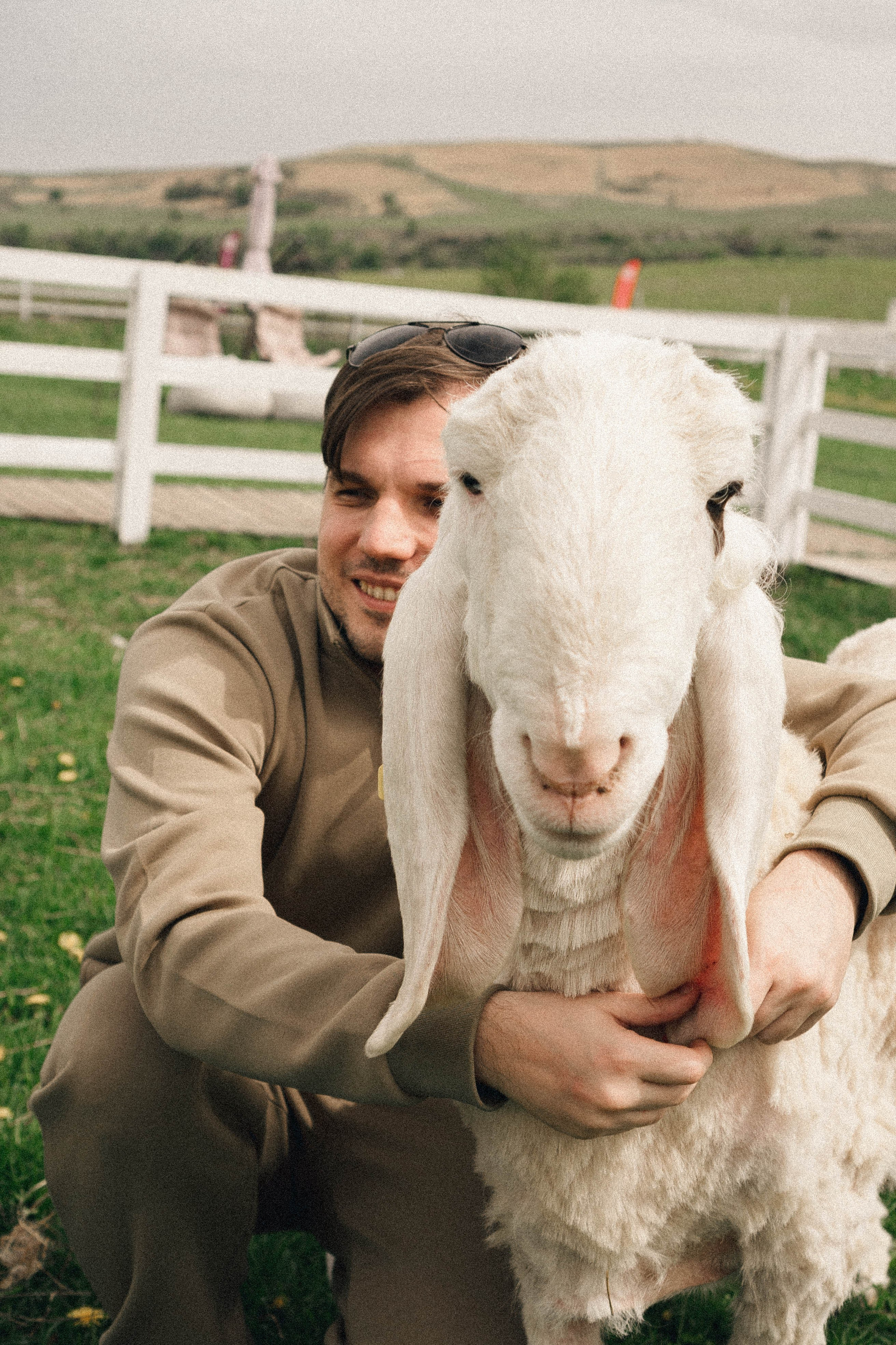 Ферма Альпак. Профессиональный фотограф, Санкт-Петербург — Виктория Богомолова