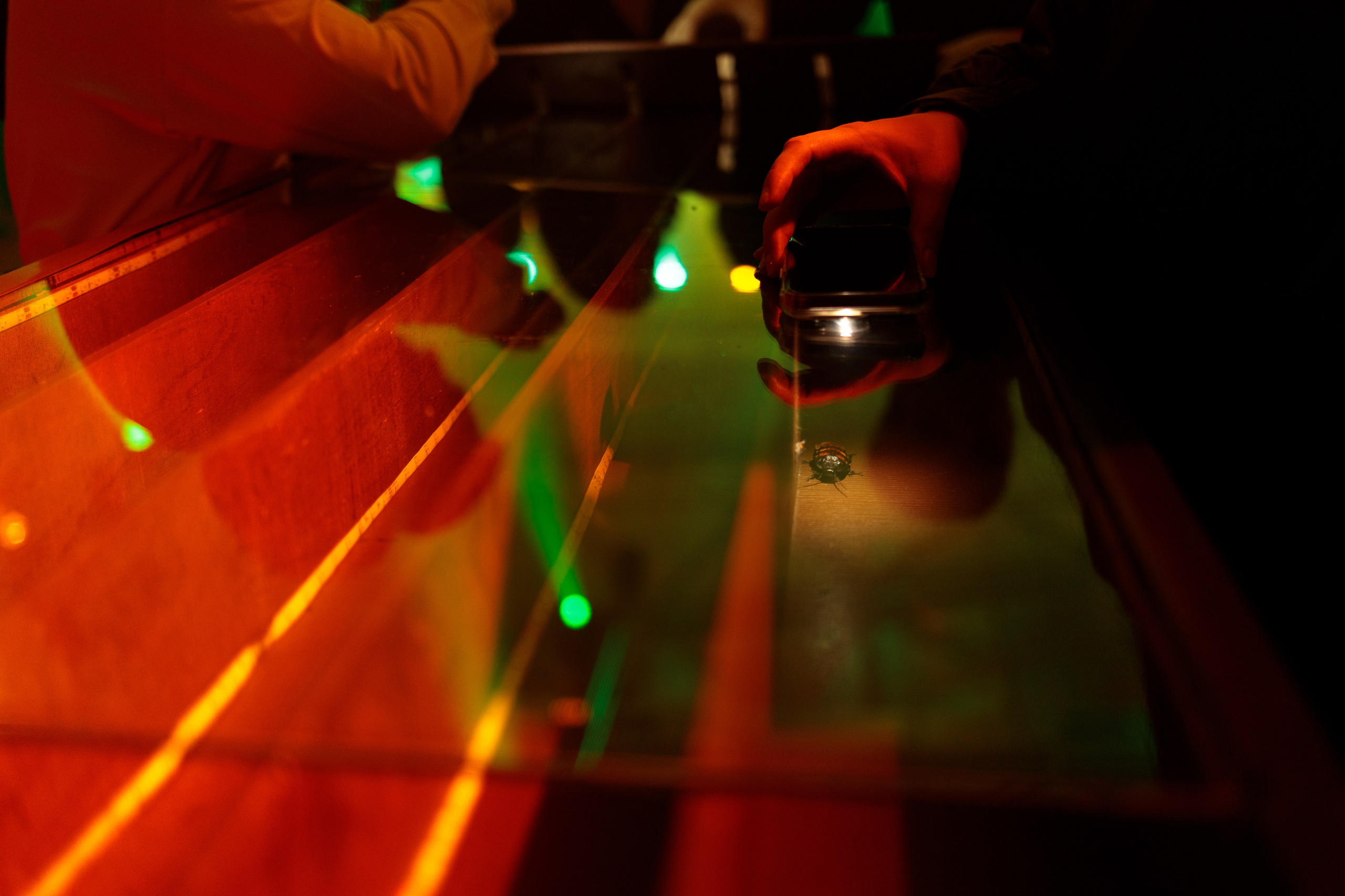 Репортажная съемка. Свадебный и семейный фотограф в Самаре