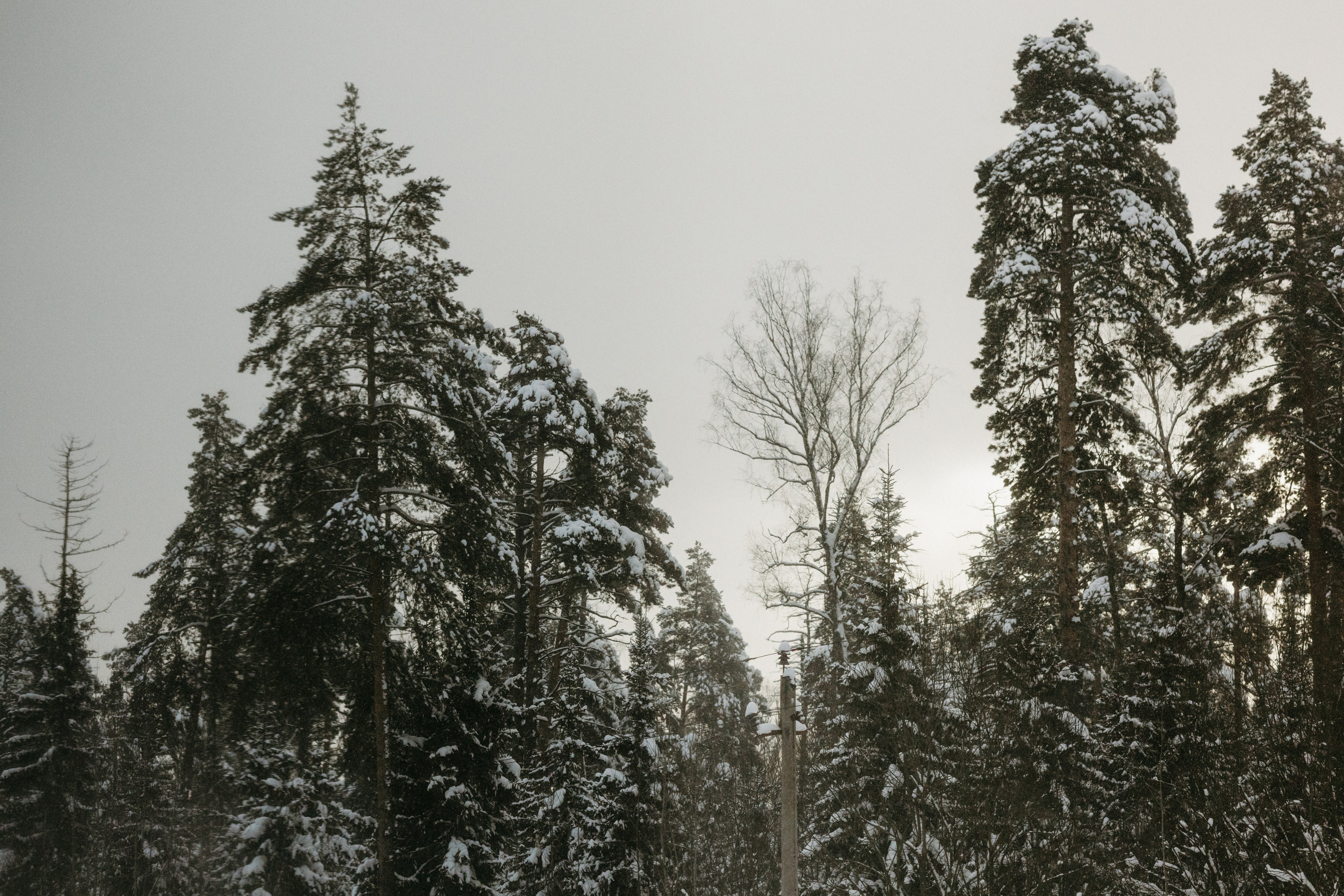 Виды из поезда. Фотограф Эльмира Лин