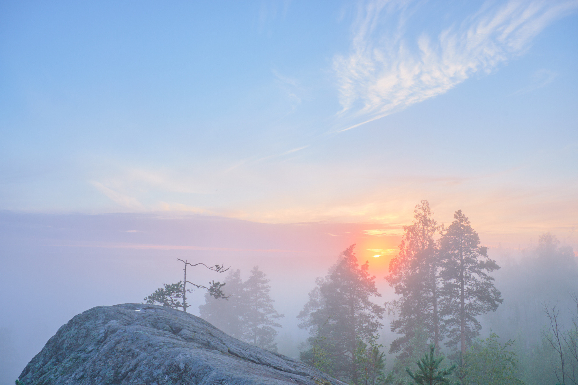 Nature & landscape. ≫ Nikita Tsarev ≫ Sports and event photographer