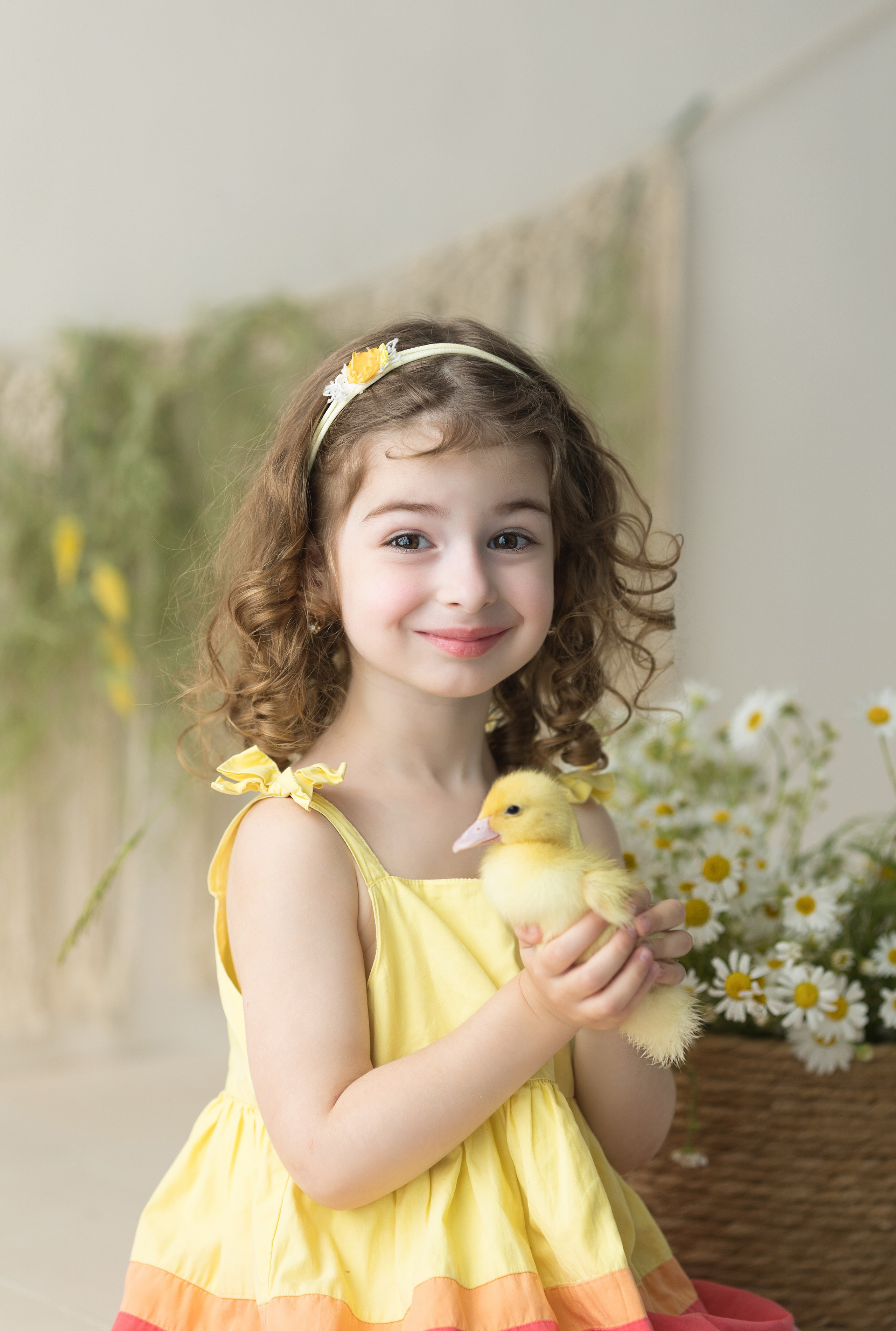 Утки. Главная