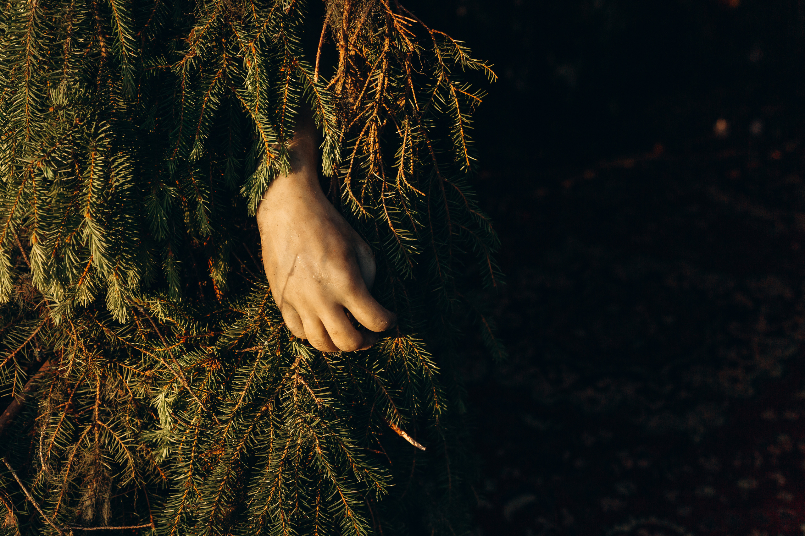 Флэт 4.0. Фотограф Виктория Дунаевская в Санкт Петербурге