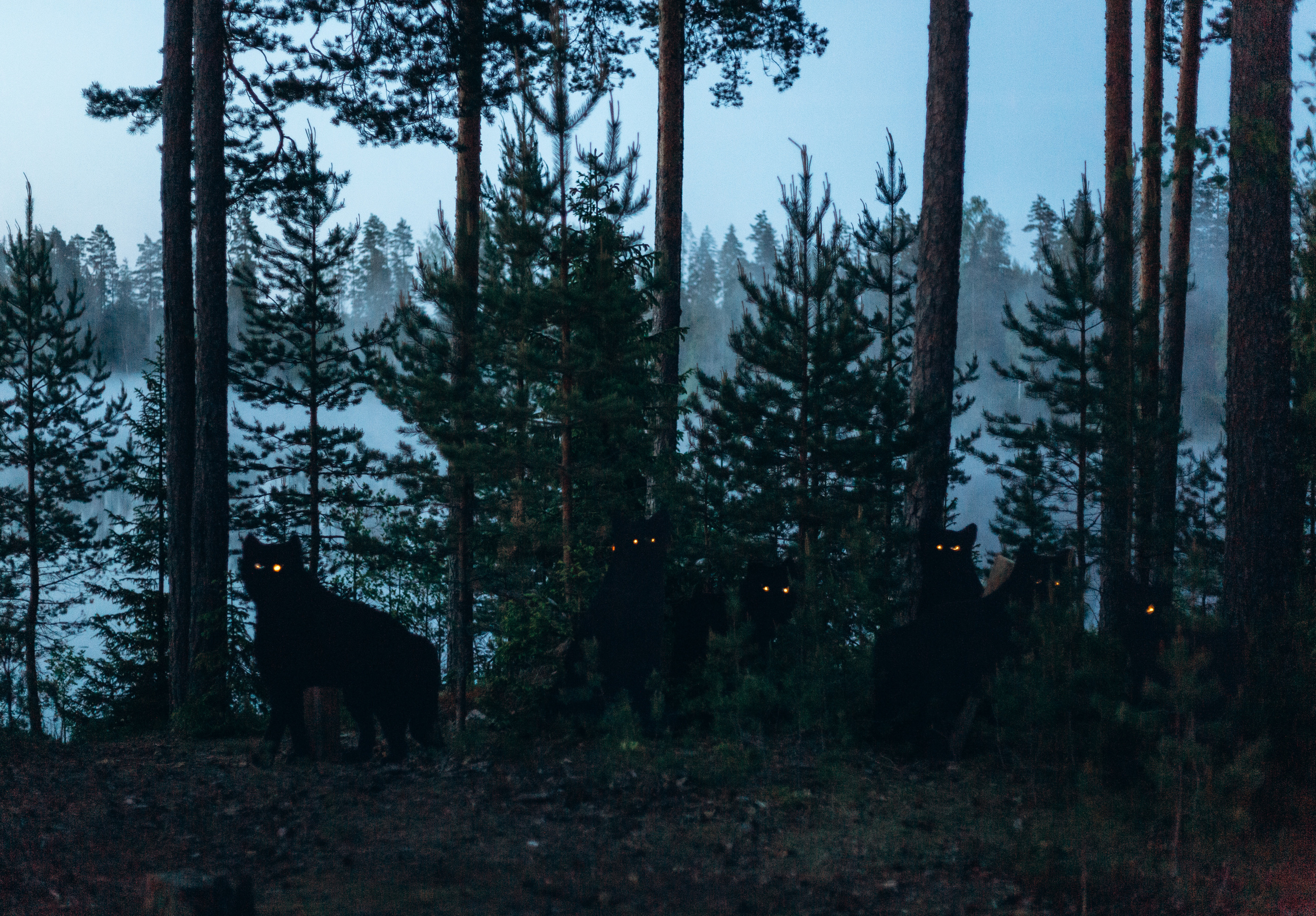 Флэт 4.0. Фотограф Виктория Дунаевская в Санкт Петербурге
