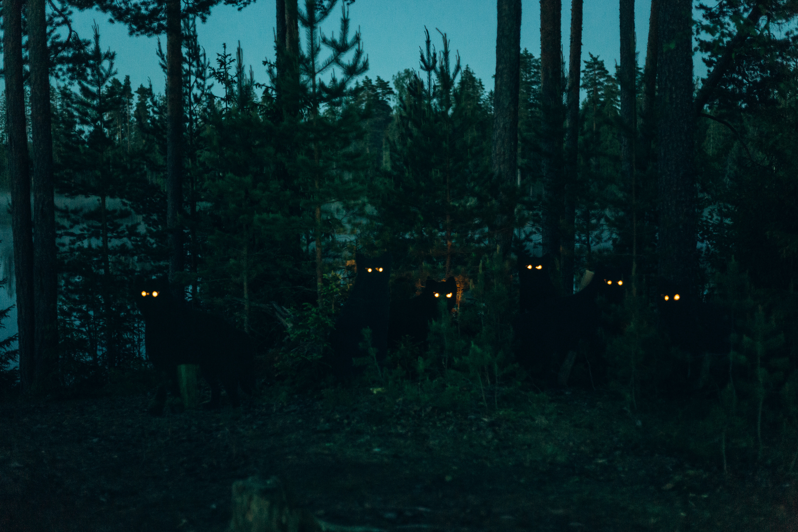 Флэт 4.0. Фотограф Виктория Дунаевская в Санкт Петербурге