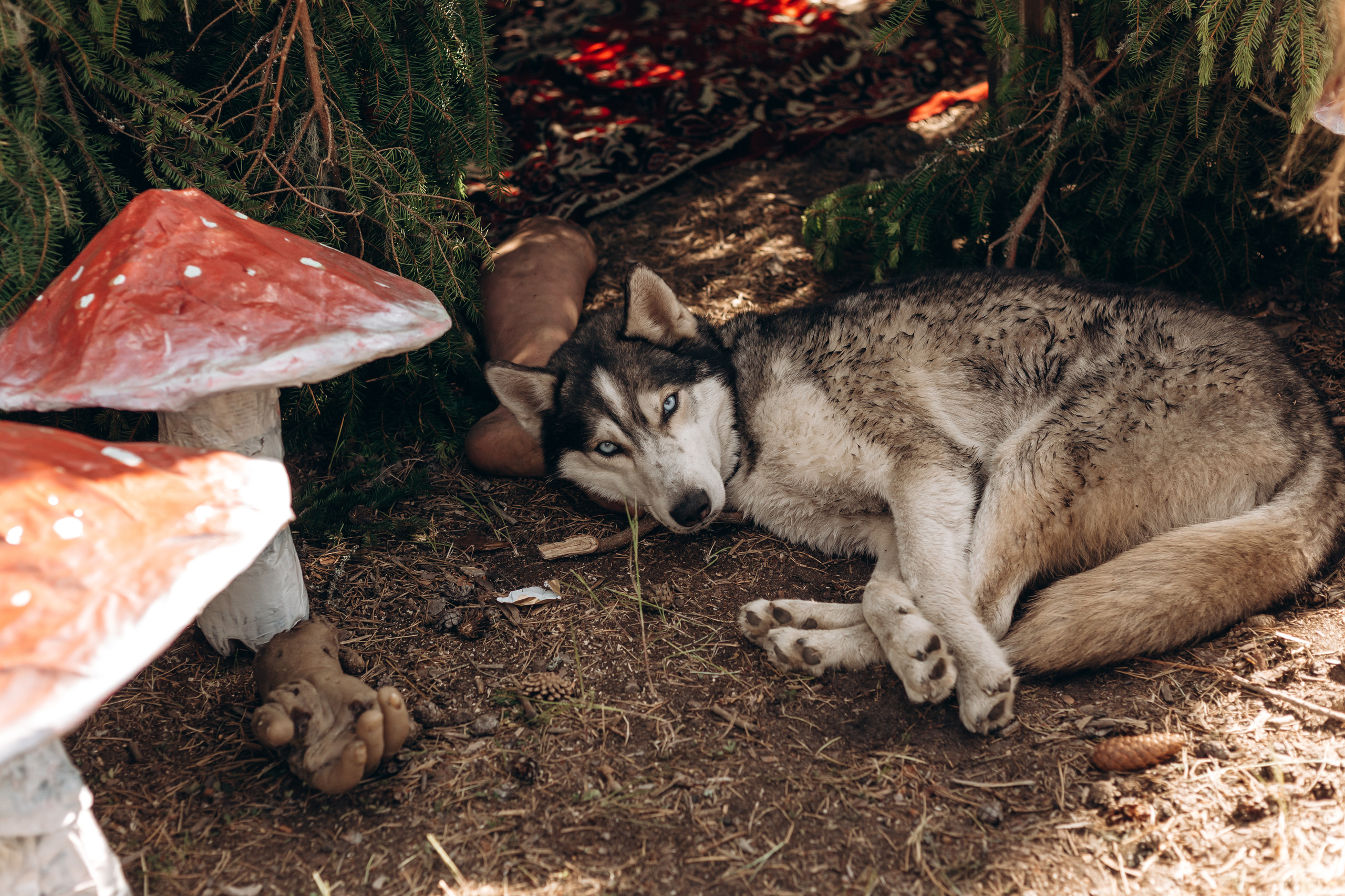 Флэт 4.0. Фотограф Виктория Дунаевская в Санкт Петербурге