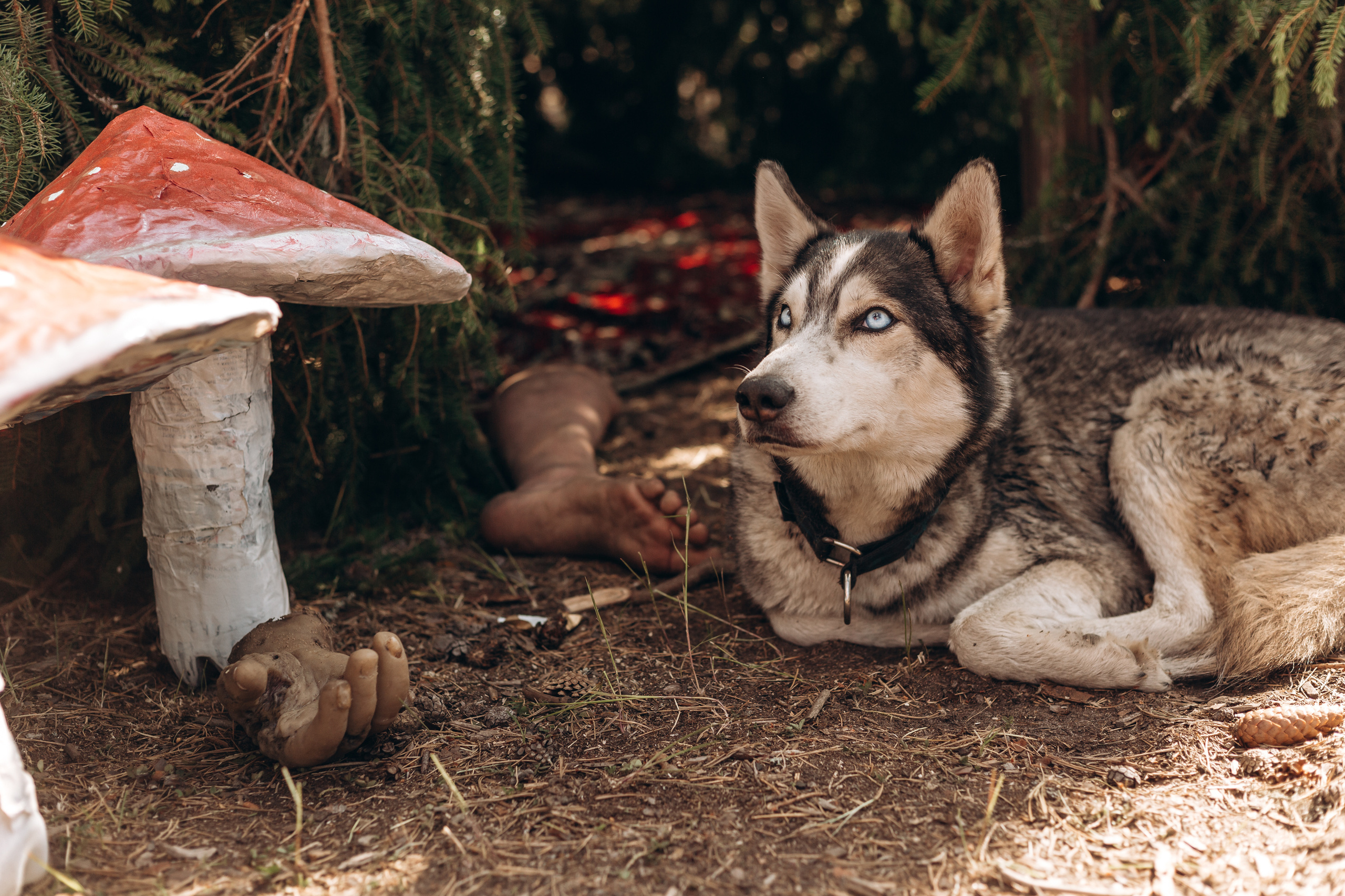 Флэт 4.0. Фотограф Виктория Дунаевская в Санкт Петербурге