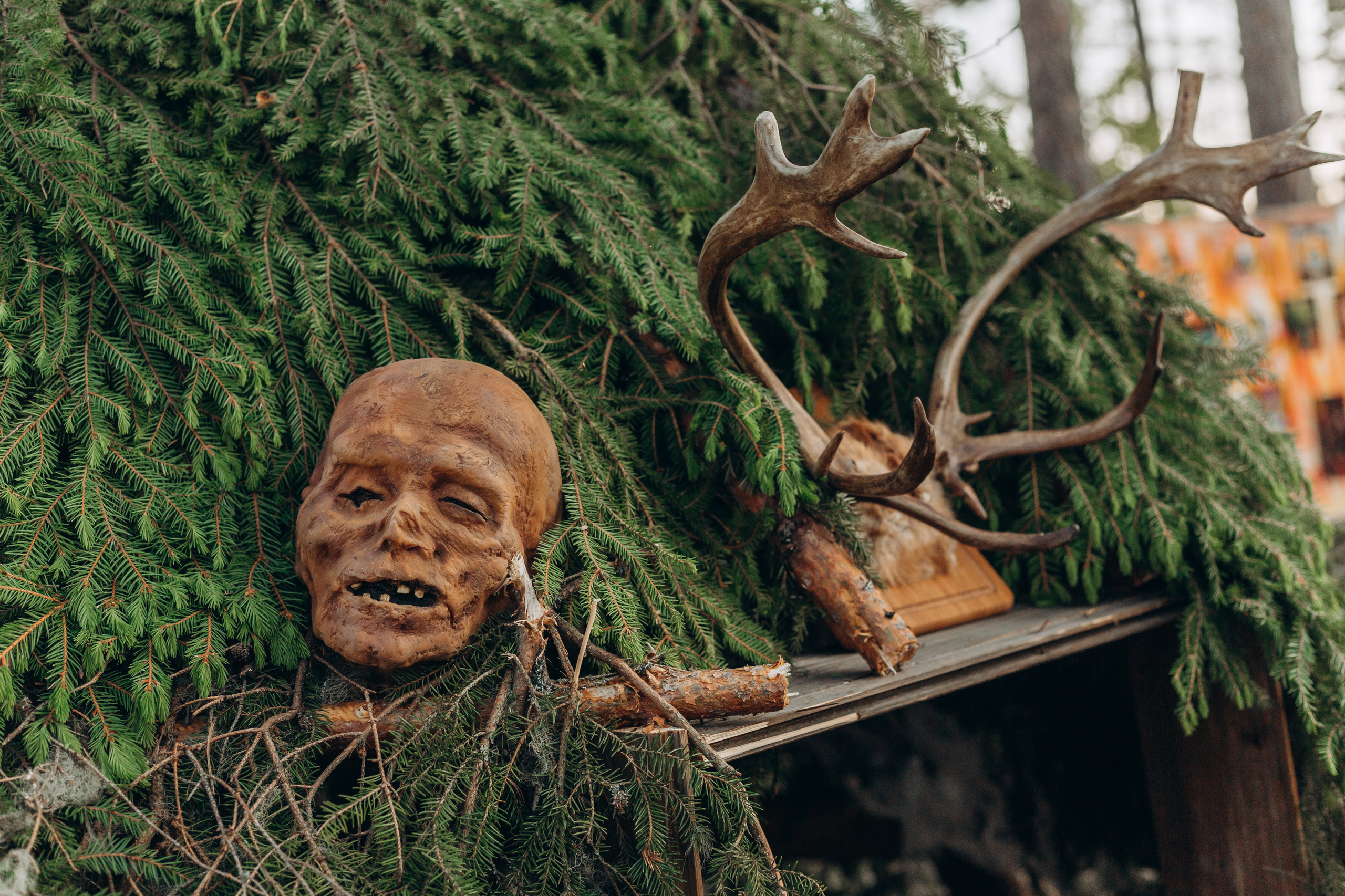 Флэт 4.0. Фотограф Виктория Дунаевская в Санкт Петербурге