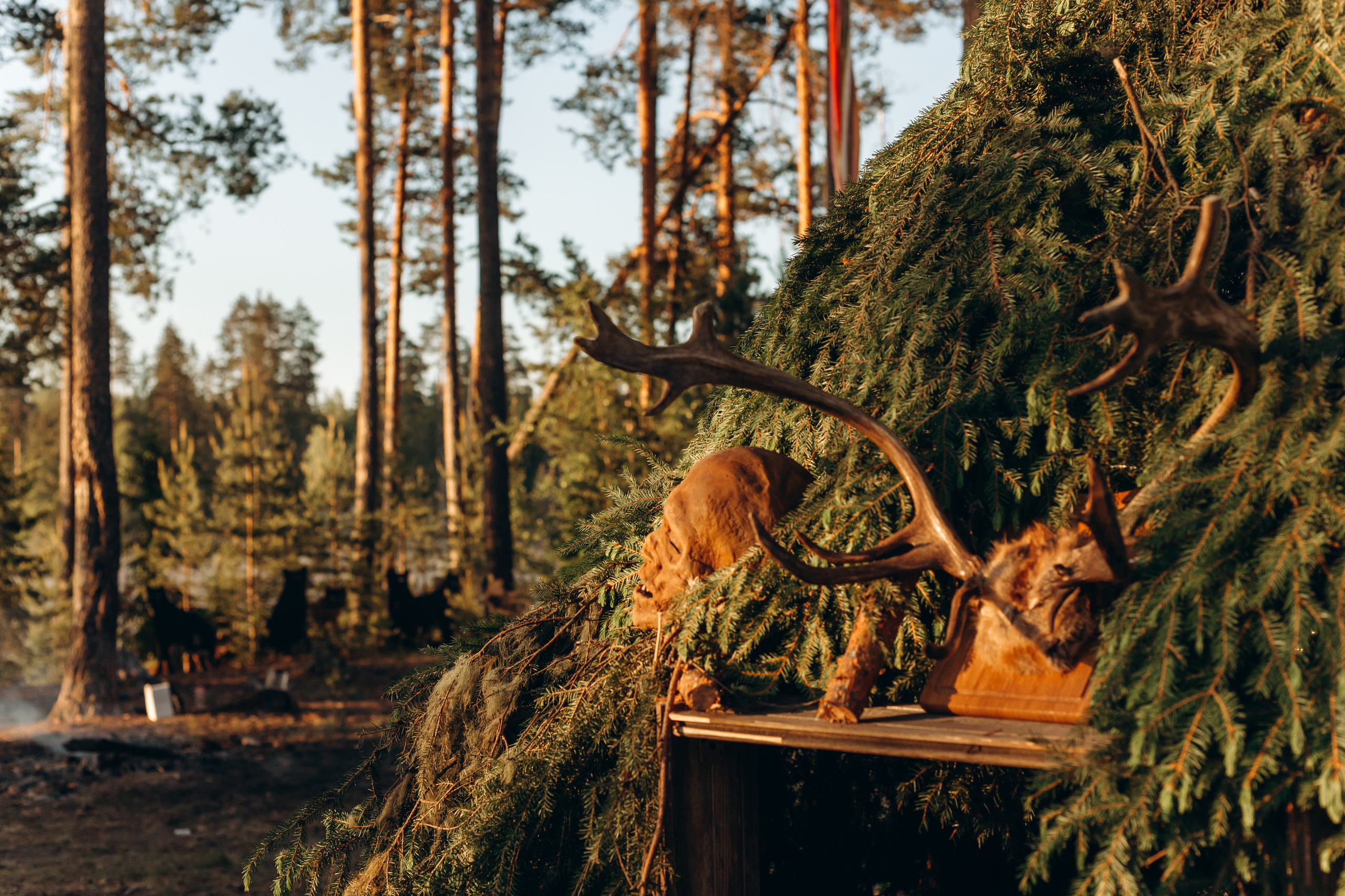 Флэт 4.0. Фотограф Виктория Дунаевская в Санкт Петербурге
