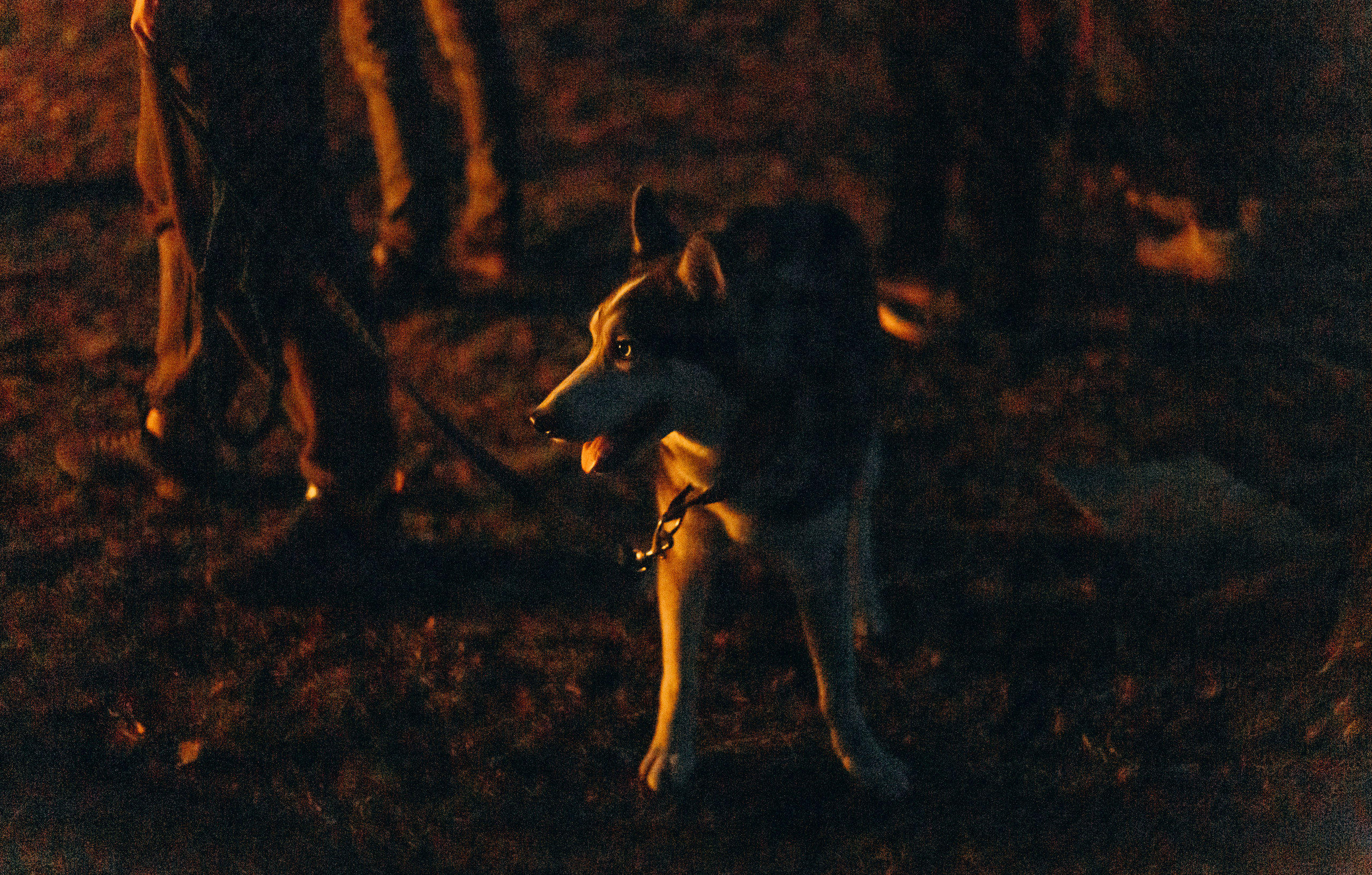 Флэт 4.0. Фотограф Виктория Дунаевская в Санкт Петербурге