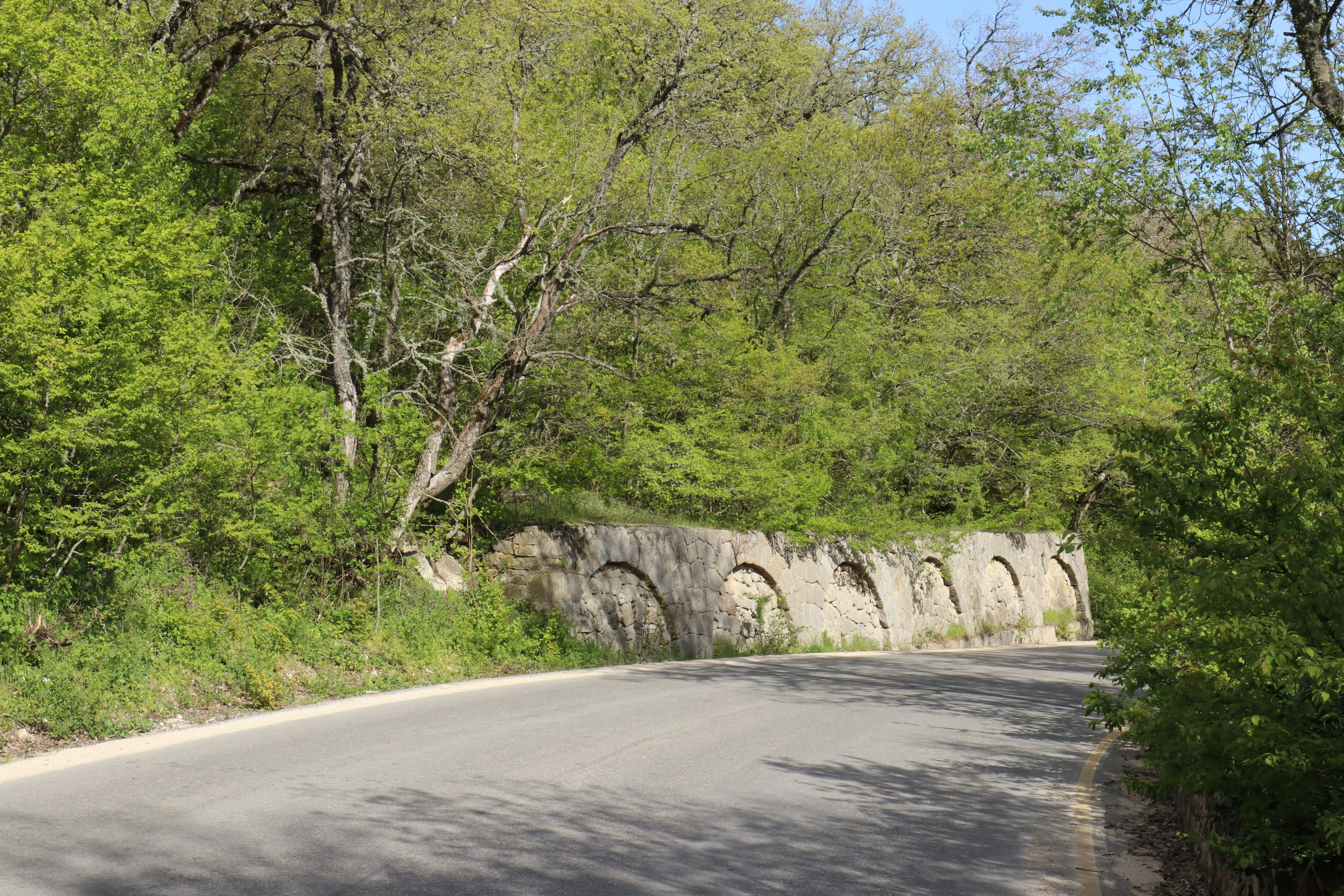 Крым. ЮБК (Севастополь, Кастрополь, Ялта). Май 2023. Путешественник-фотограф из Санкт-Петербурга Татьяна Свистулина