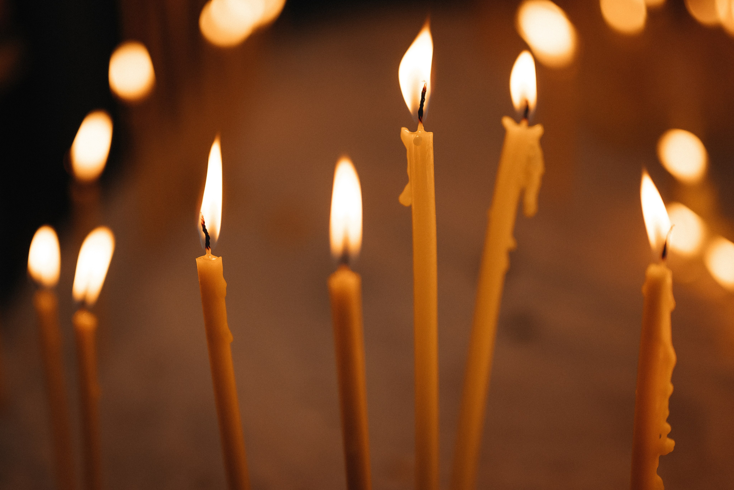 Борик & Анжела. Фотограф в Краснодарском крае Александр Шульга