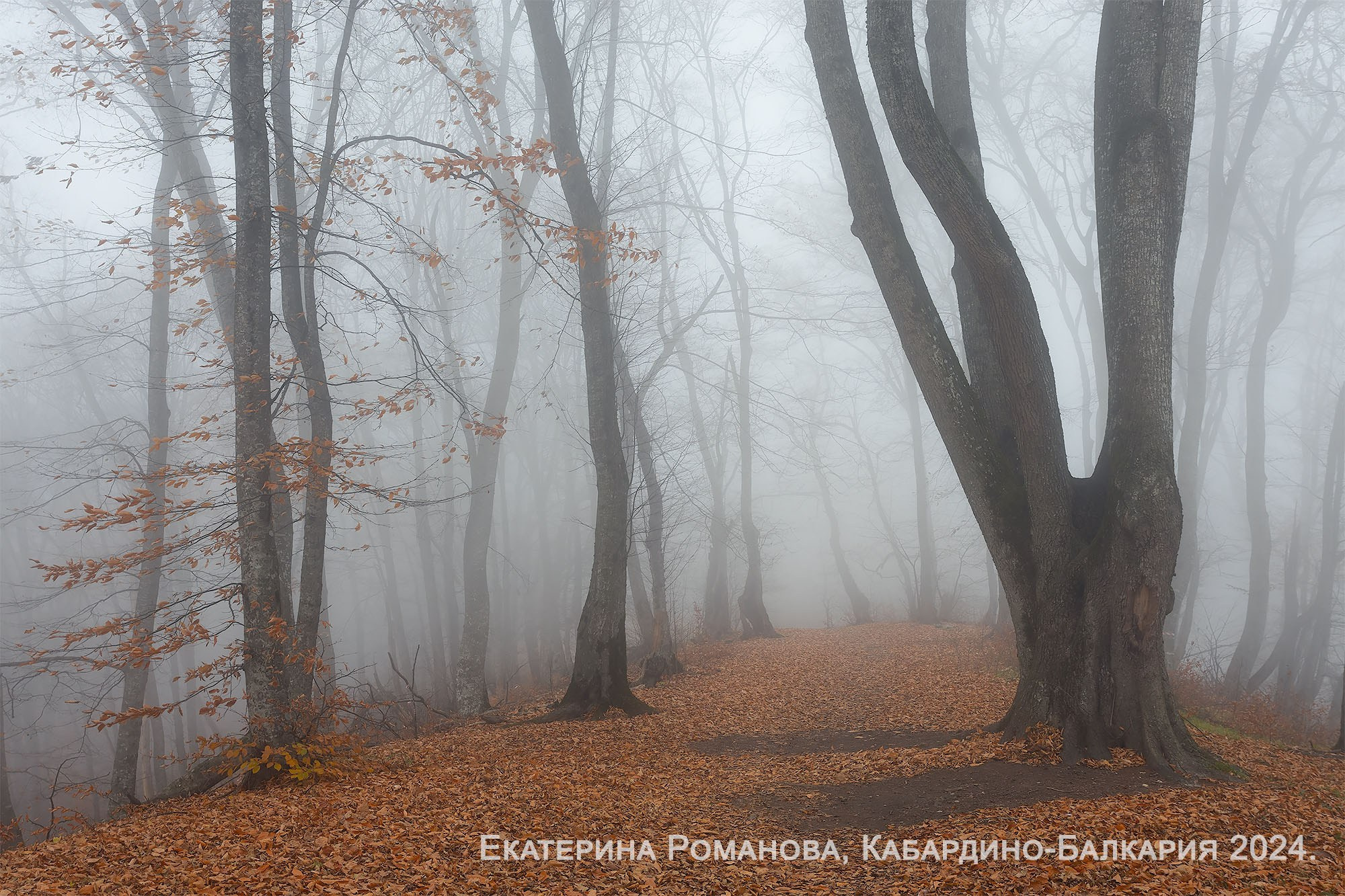 Итоги вторго фотоконкурса Photogeographic